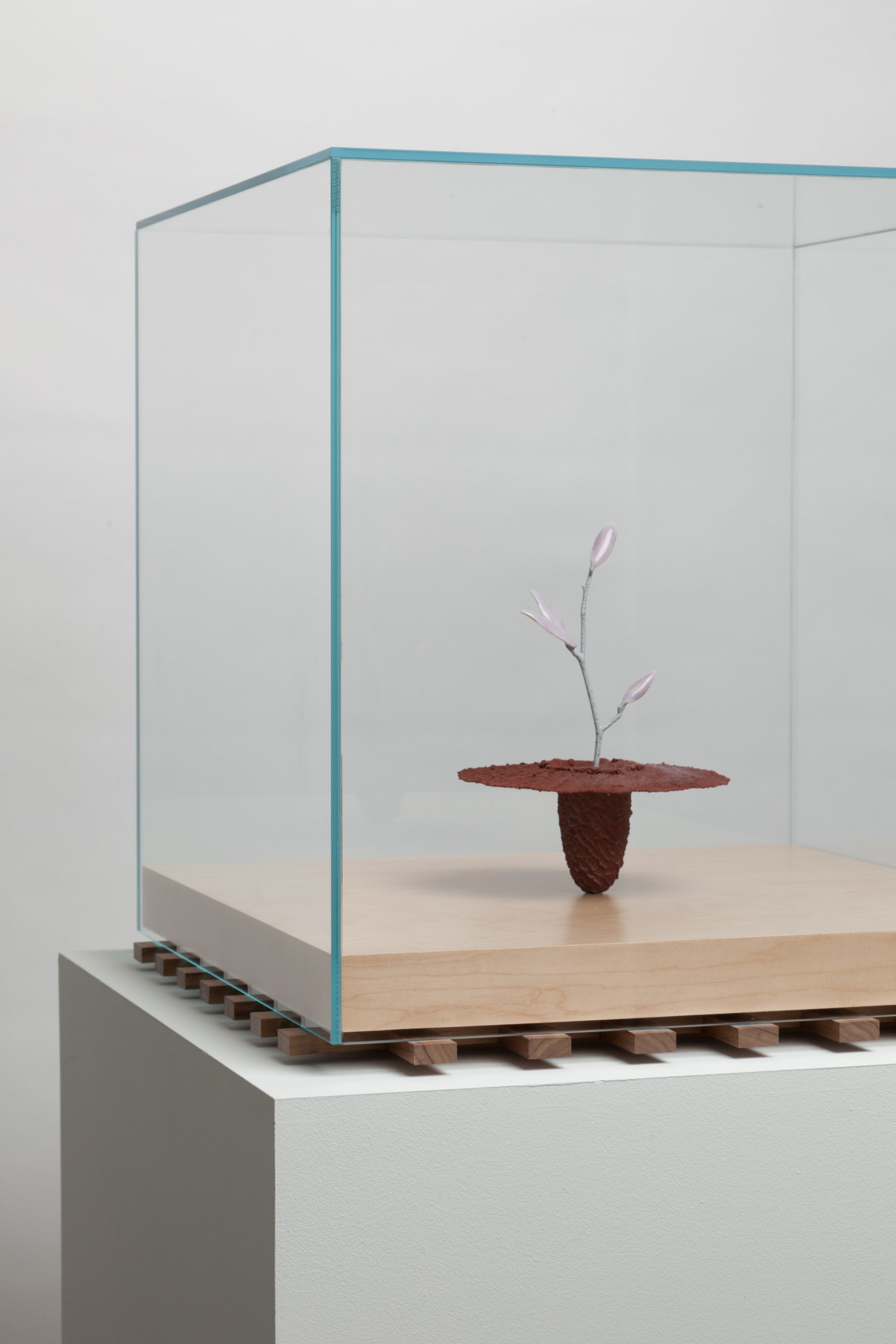   Obelisk (Regolith) , 2023. cremated leaves, rare earth elements, ceramic, twig, resin, steel, glass, maple, walnut. 