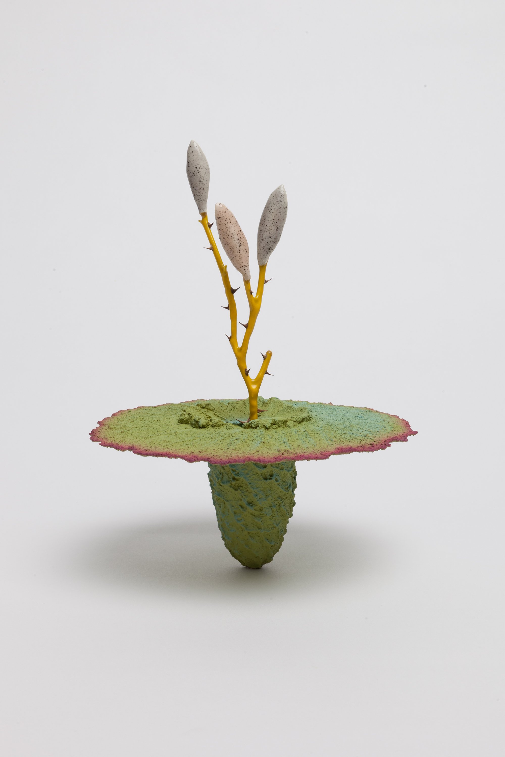   Obelisk (Doline) , 2024. cremated leaves, rare earth elements, ceramic, twig, resin, steel, acrylic, mahogany, maple, glass. 