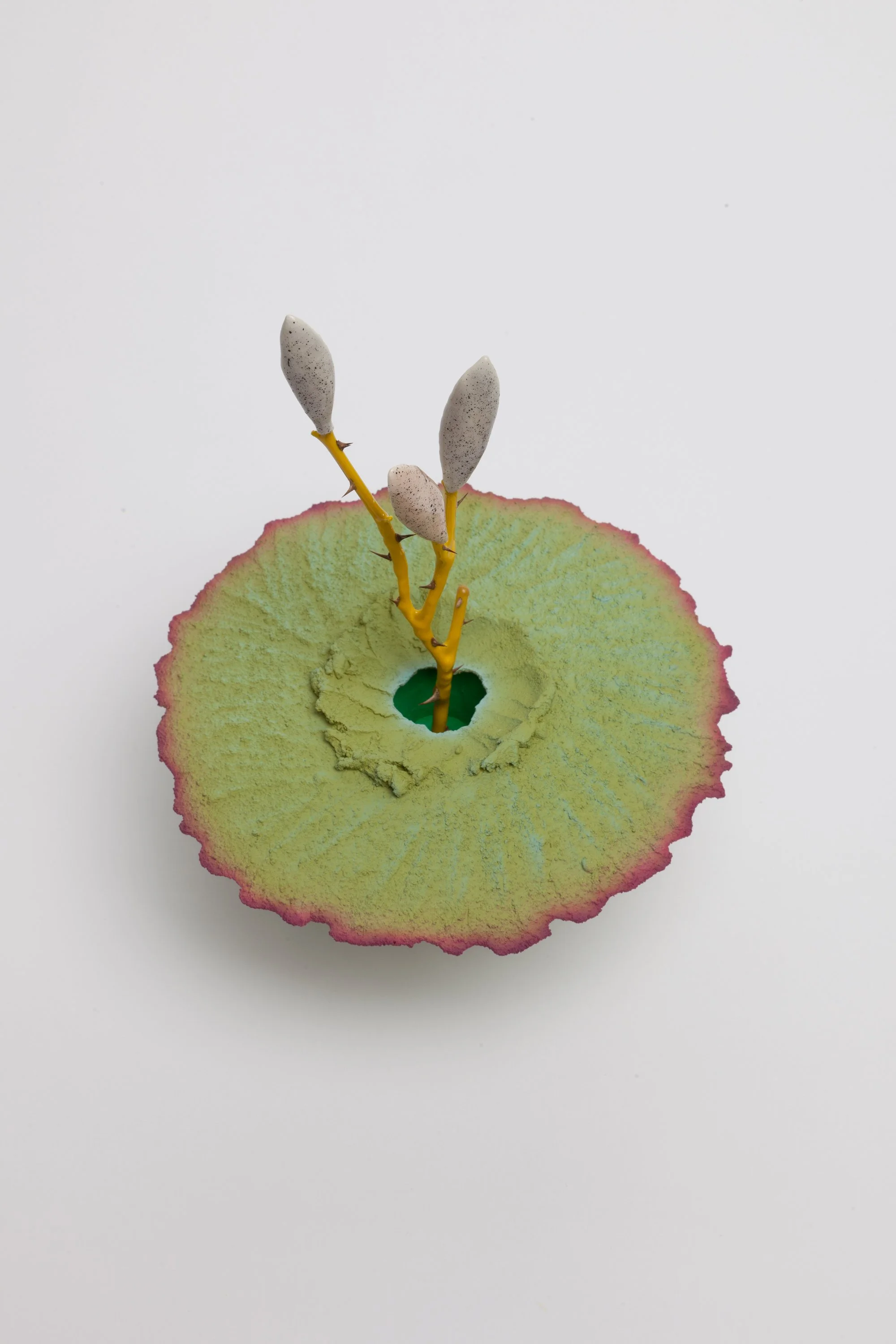   Obelisk (Doline) , 2024. cremated leaves, rare earth elements, ceramic, twig, resin, steel, acrylic, mahogany, maple, glass. 