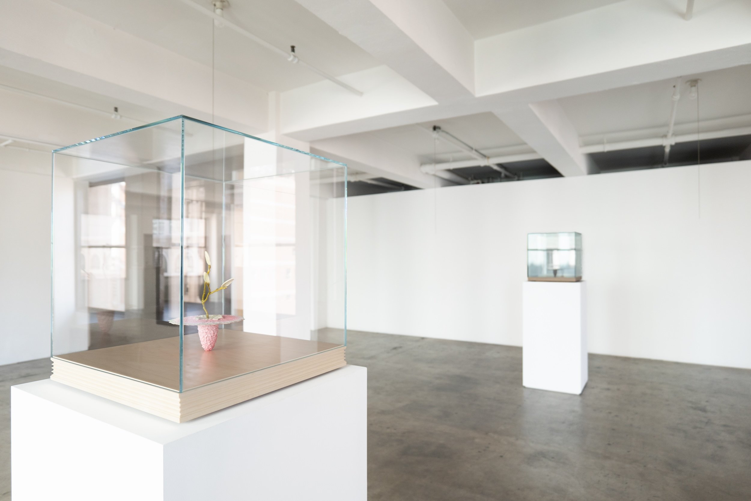   Attunement,  Anders Hamilton + Yimia Liu, Giovanni’s Room, Los Angeles. 
