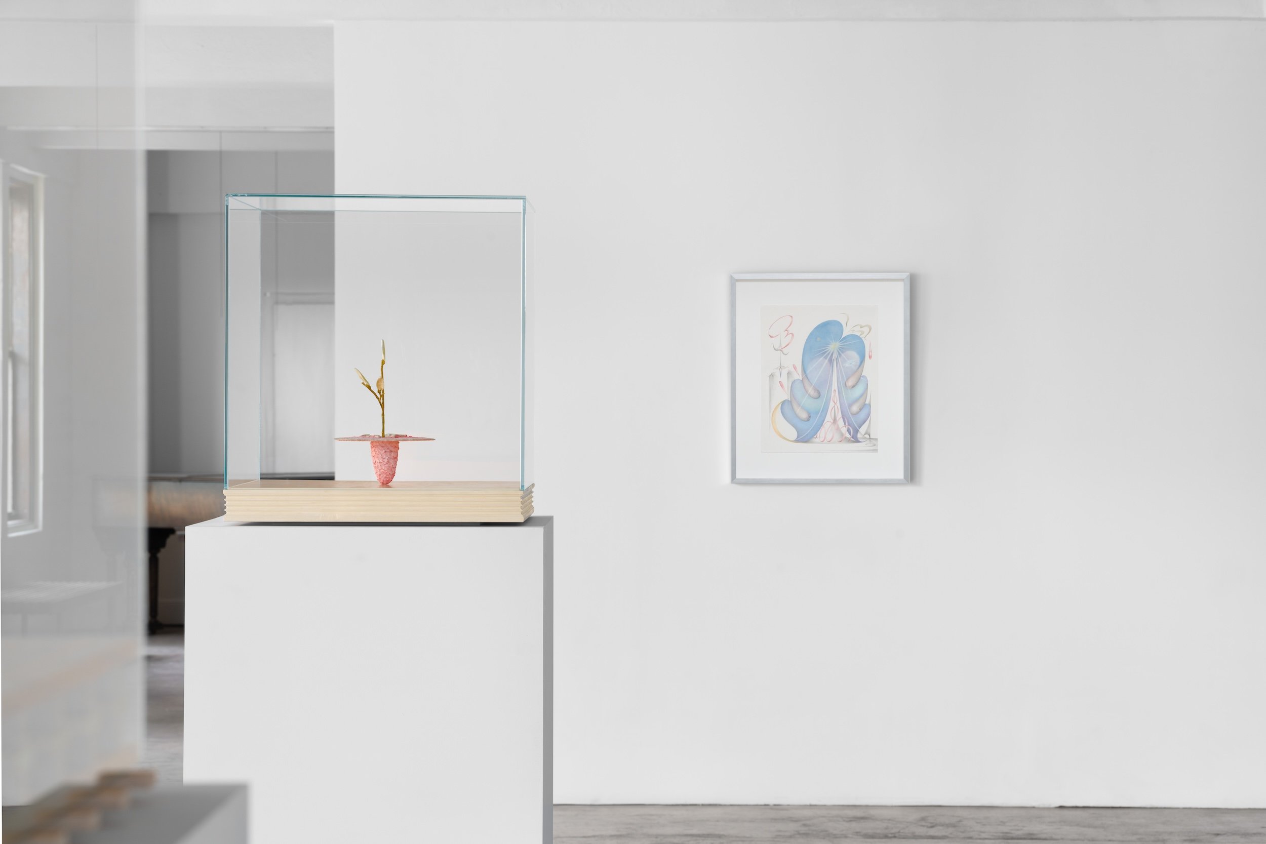   Attunement,  Anders Hamilton + Yimia Liu, Giovanni’s Room, Los Angeles. 