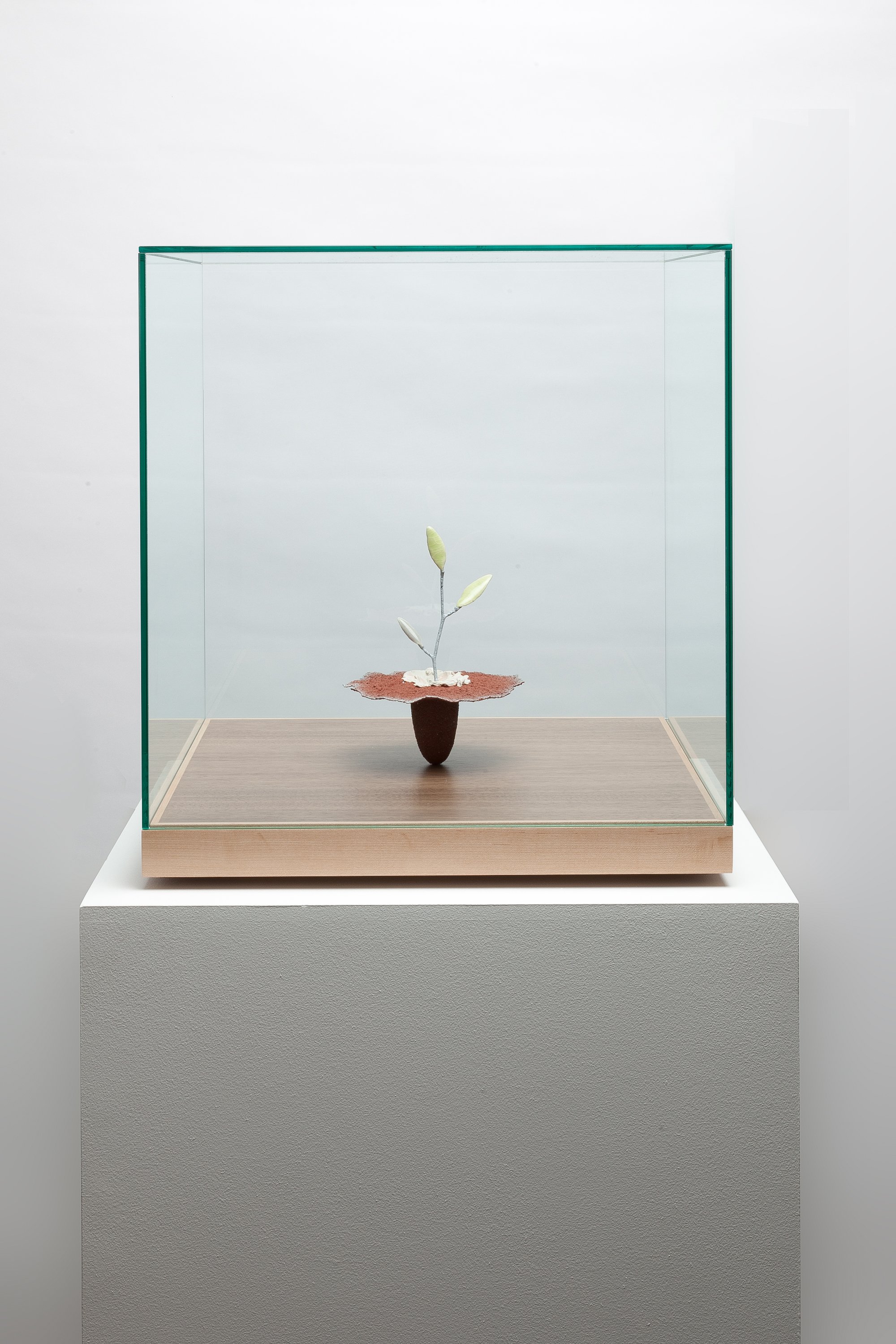 Obelisk (Eternal Bloom), 2024.   cremated leaves, rare earth elements, ceramic, twig,resin, steel, acrylic, maple.    Vitrine: 21.75”x21.75”x23”  Obelisk: 7”x8”