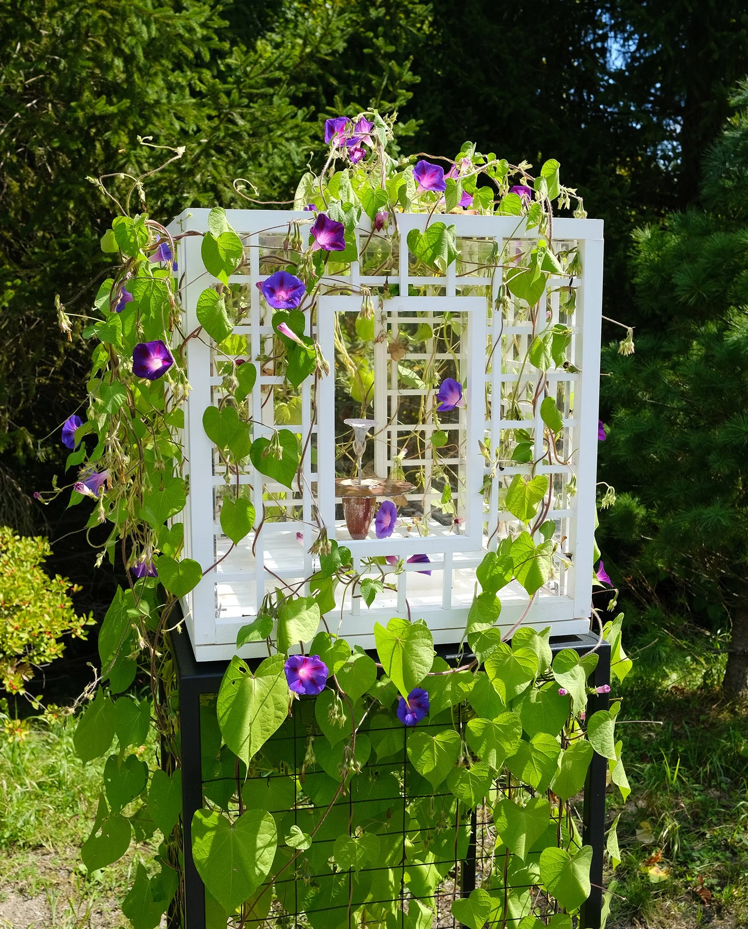  Obelisk (Anew), 2024. cremated morning glory, rare earth elements, ceramic, resin, steel, acrylic, maple. 