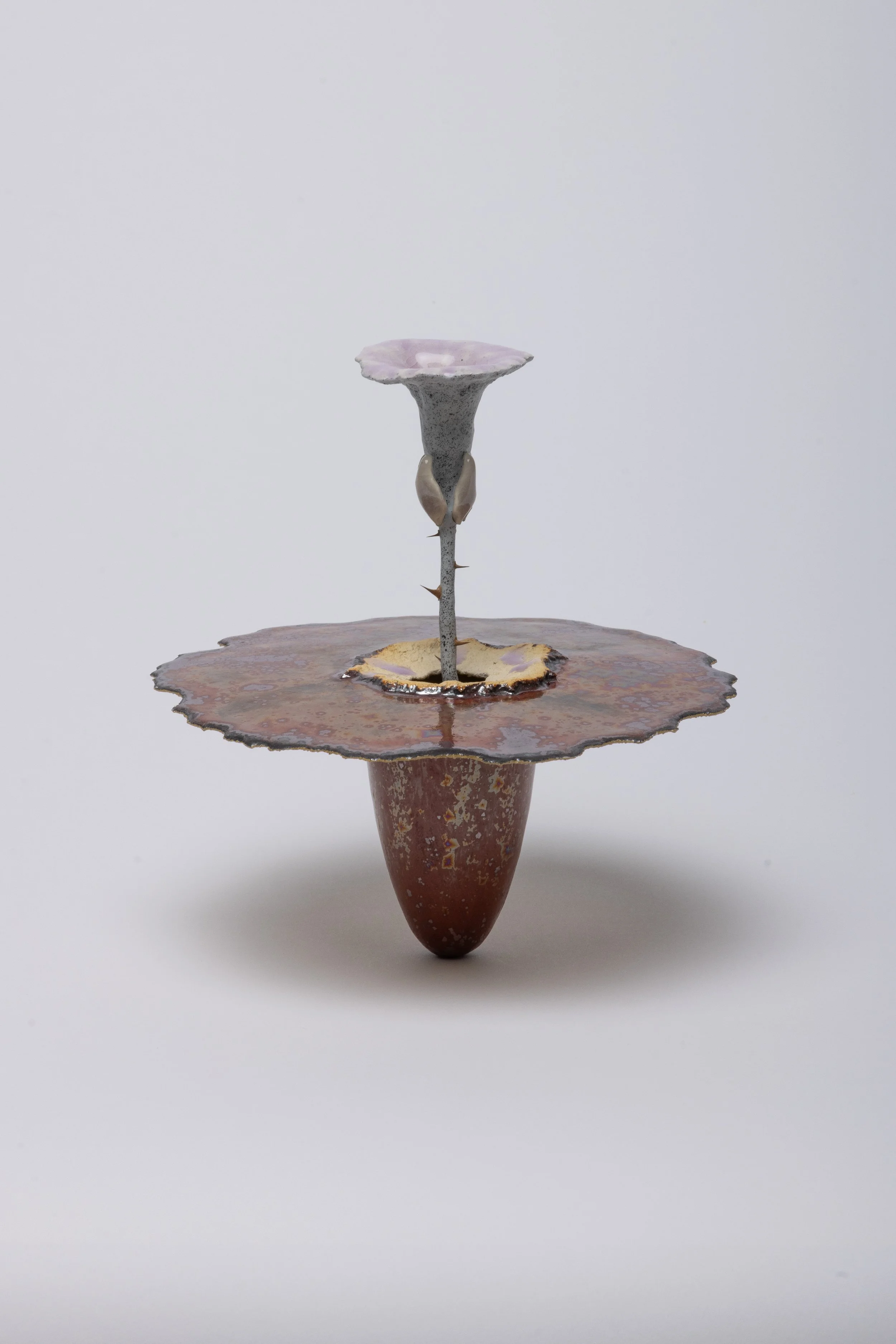  Obelisk (Anew), 2024. cremated morning glory, rare earth elements, ceramic, resin, steel, acrylic, maple. 