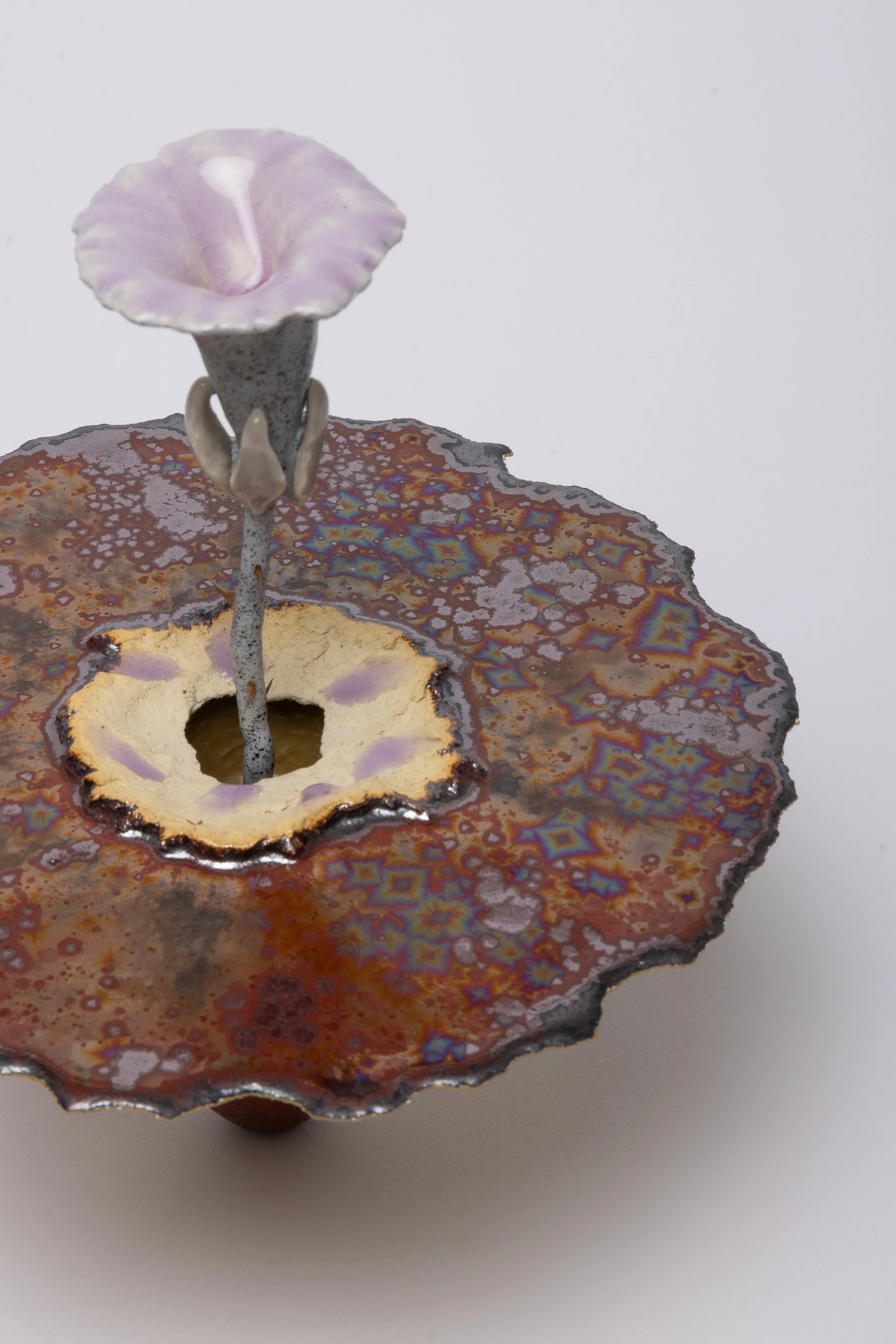  Obelisk (Anew), 2024. cremated morning glory, rare earth elements, ceramic, resin, steel, acrylic, maple. 