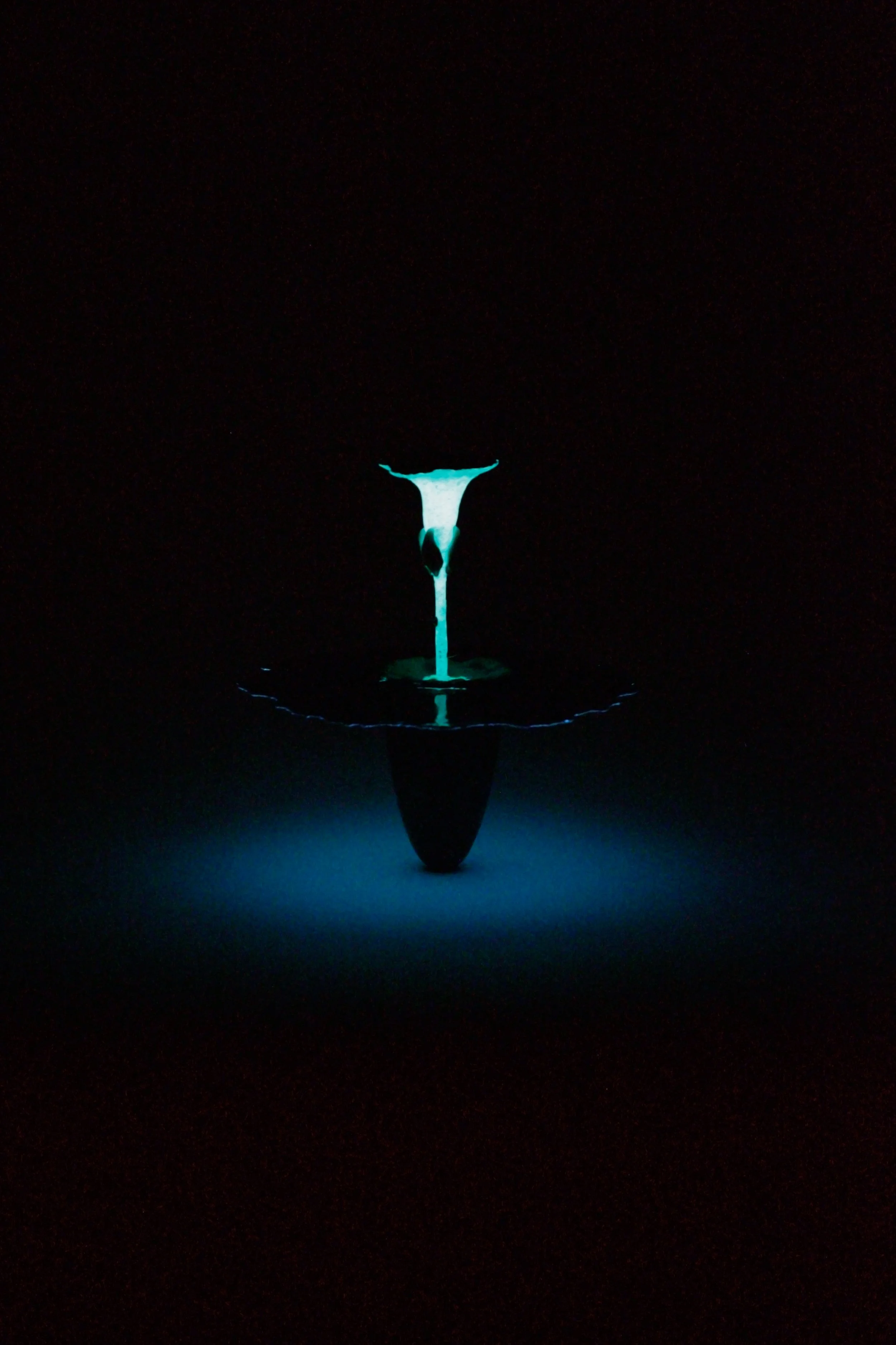  Obelisk (Anew), 2024. cremated morning glory, rare earth elements, ceramic, resin, steel, acrylic, maple. 