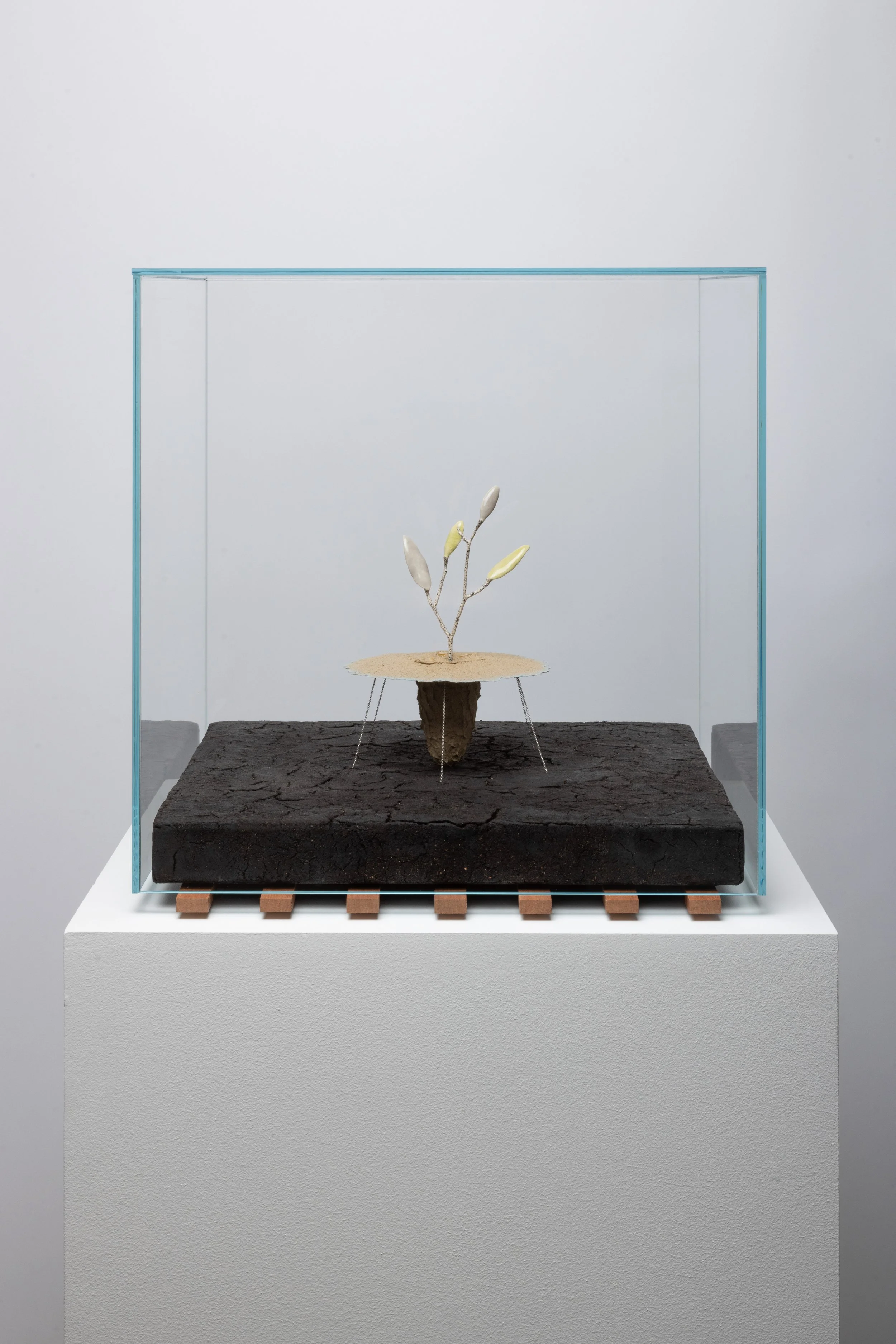  Obelisk (Xeric), 2024. cremated leaves, rare earth elements, ceramic, silver, twig, soil, resin, steel, glass, mahogany. 