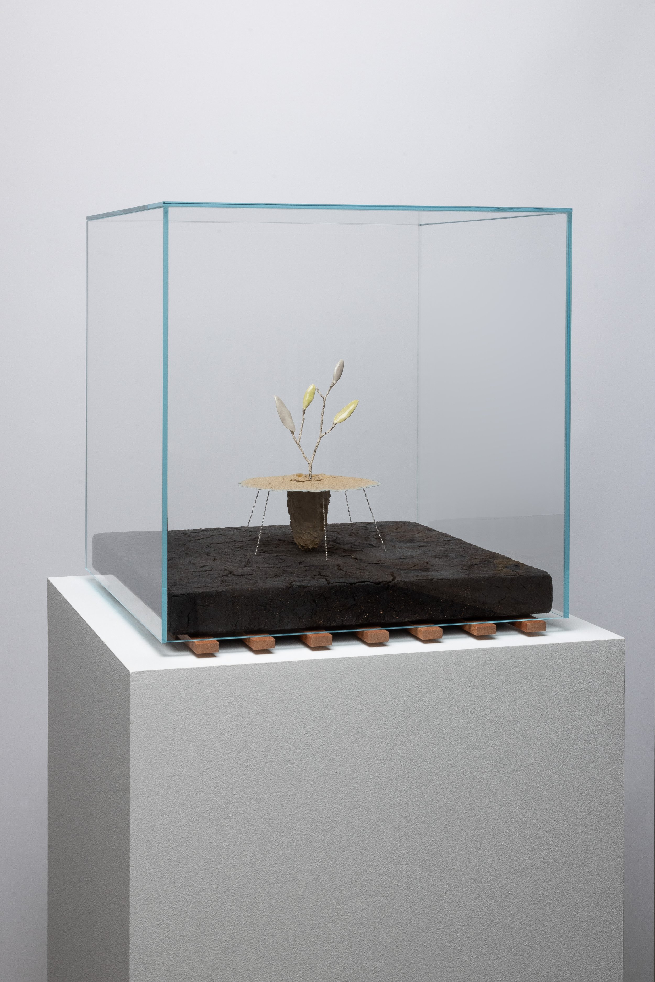  Obelisk (Xeric), 2024. cremated leaves, rare earth elements, ceramic, silver, twig, soil, resin, steel, glass, mahogany. 