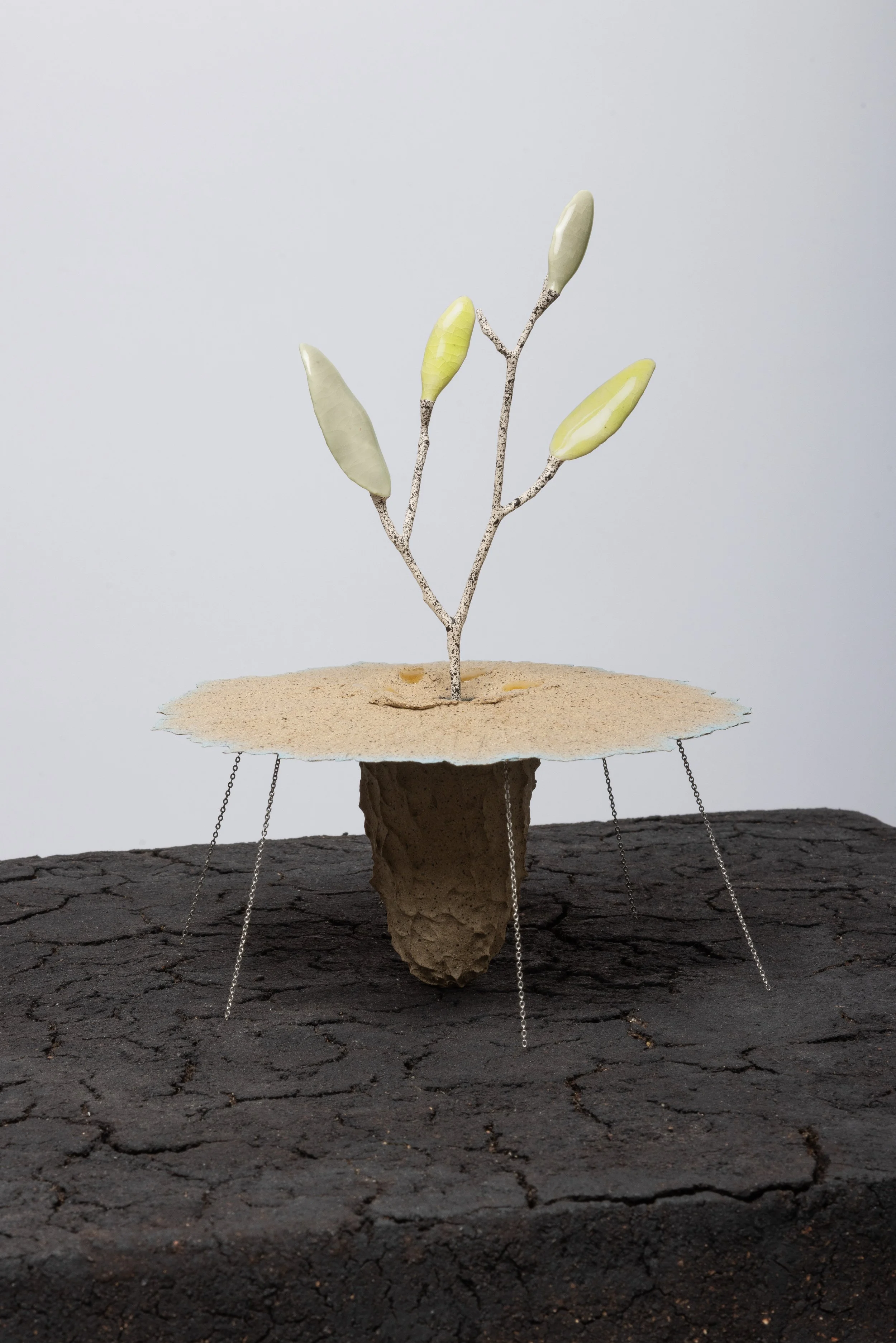  Obelisk (Xeric), 2024. cremated leaves, rare earth elements, ceramic, silver, twig, soil, resin, steel, glass, mahogany. 
