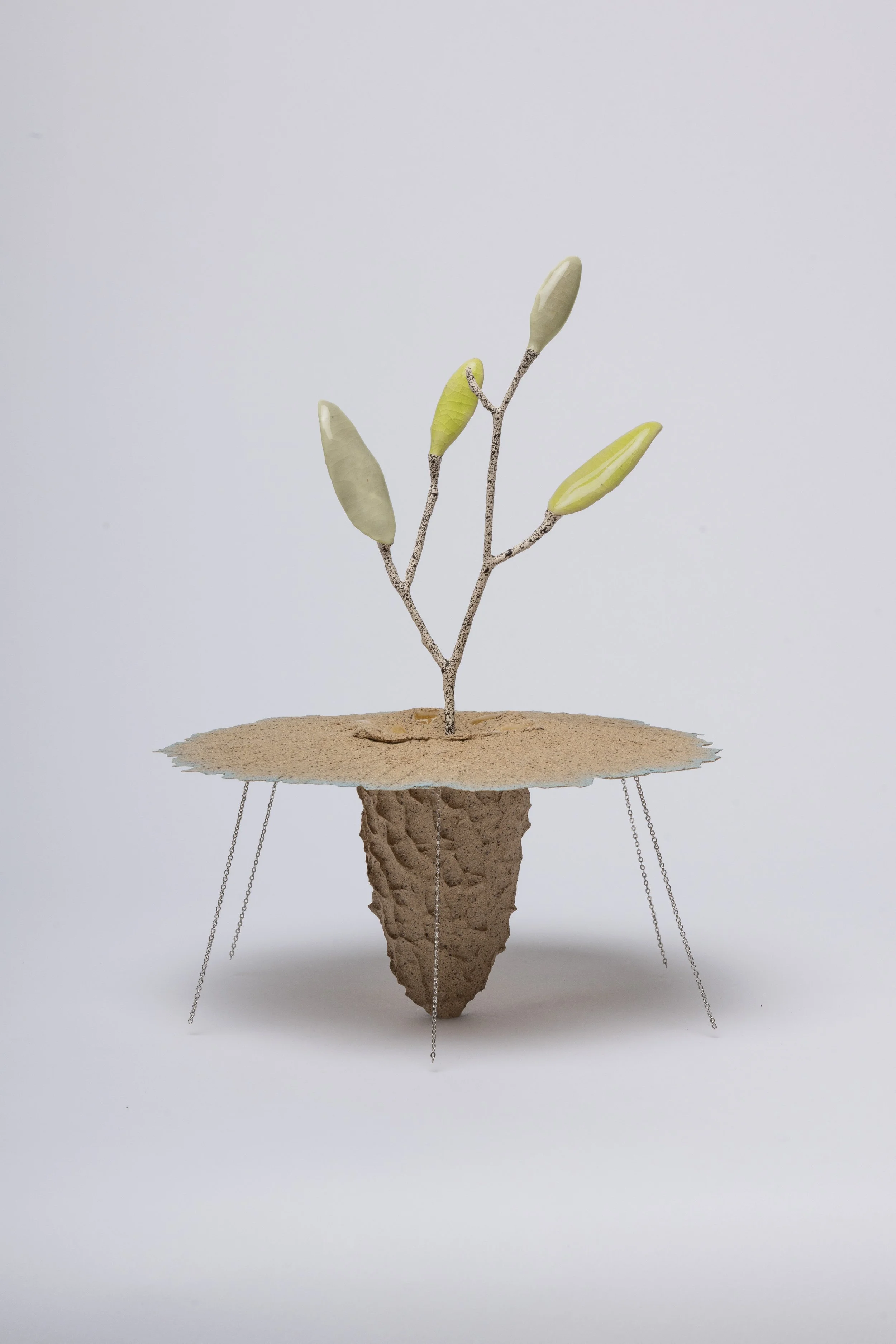  Obelisk (Xeric), 2024. cremated leaves, rare earth elements, ceramic, silver, twig, soil, resin, steel, glass, mahogany. 