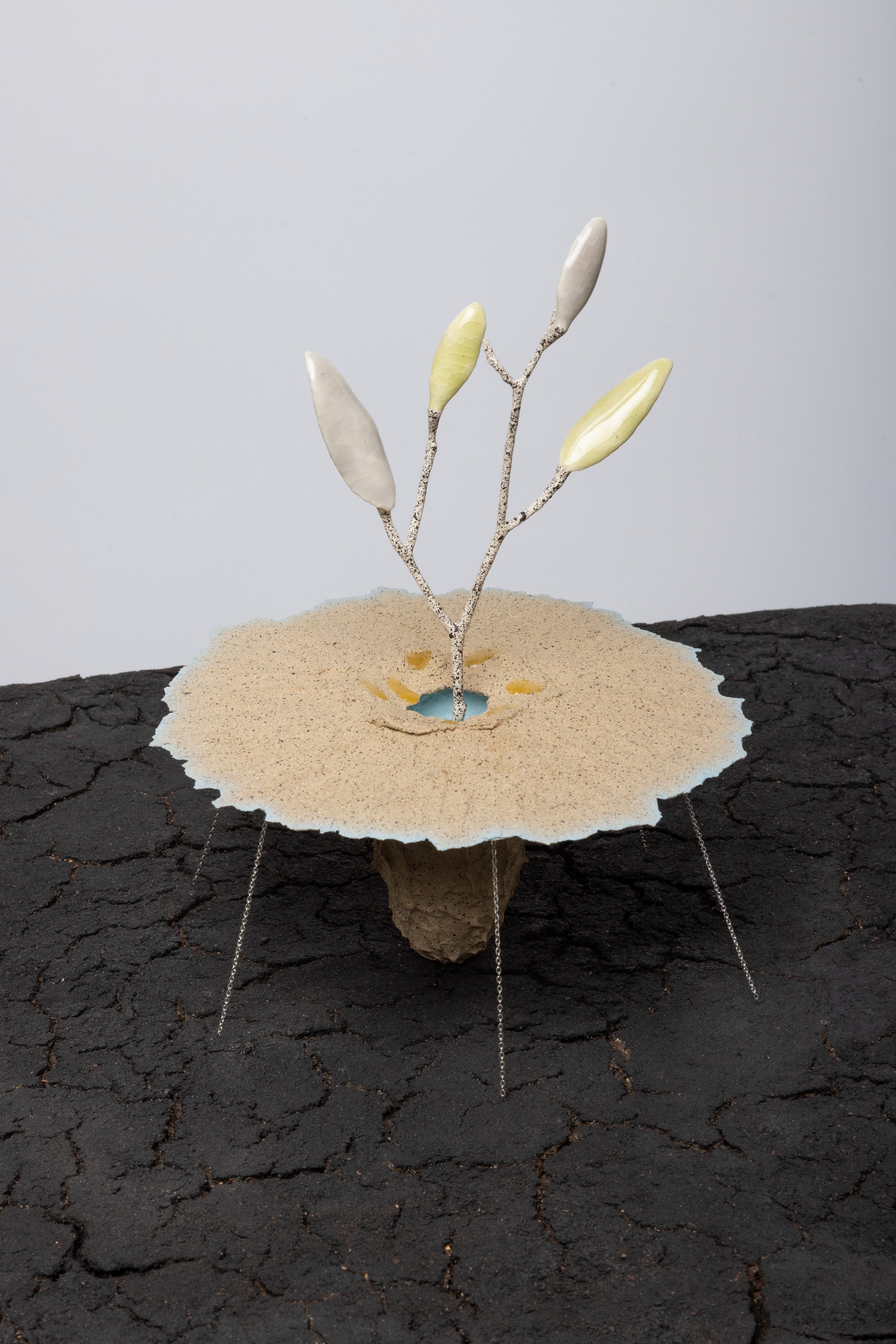  Obelisk (Xeric), 2024. cremated leaves, rare earth elements, ceramic, silver, twig, soil, resin, steel, glass, mahogany. 