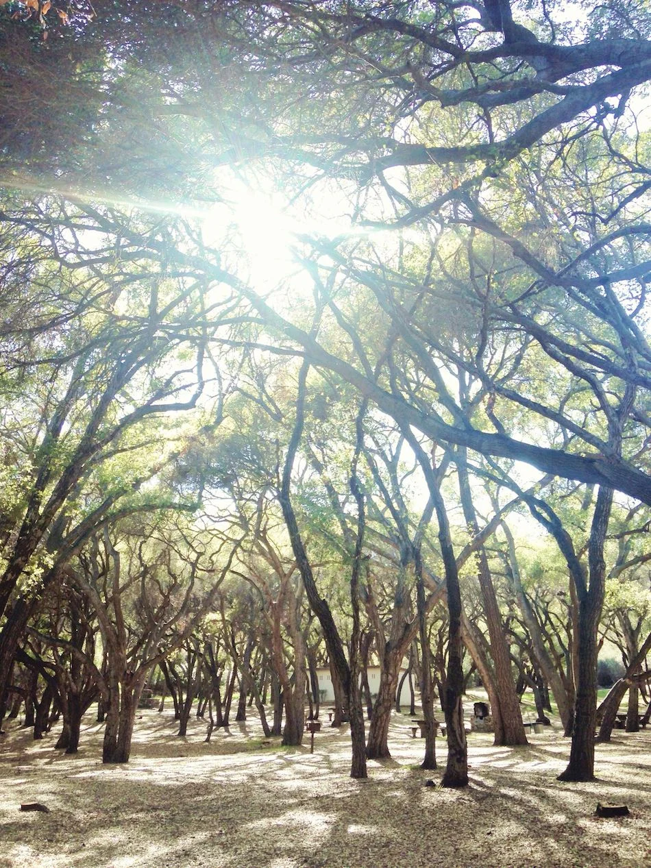 AMANDAJULCA-IPHONE-PICTAPGO-14.jpg