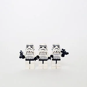 CAPTURE THE LITTLE THINGS