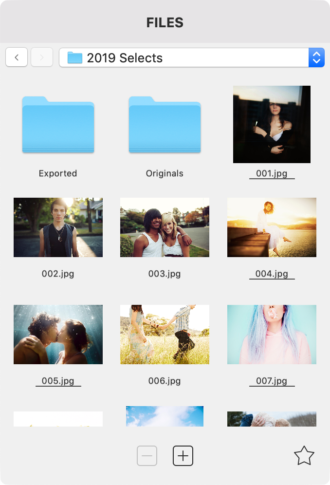PxS Files Panel.png