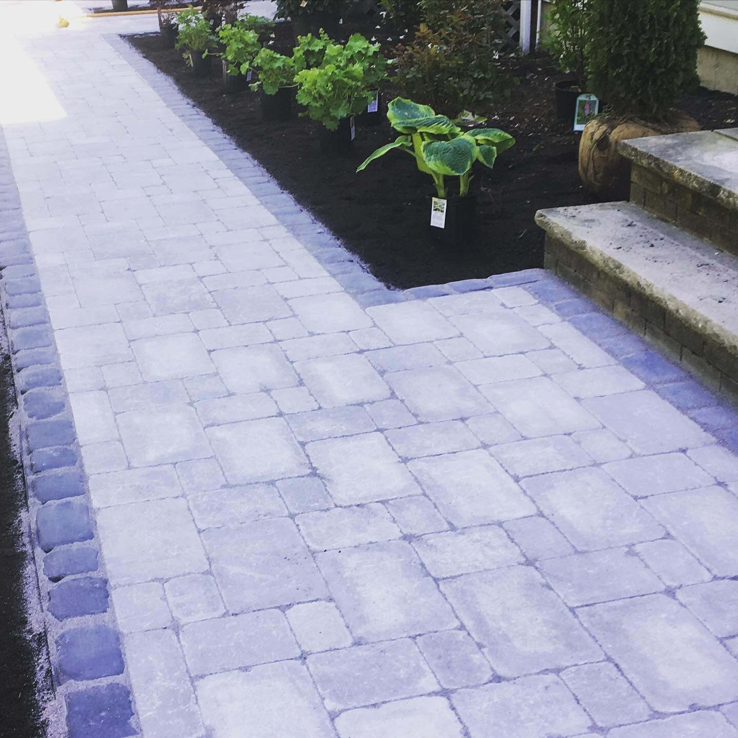 As you start to walk on the way, the way appears. -Rumi

Let us help you prepare the walkway....

#downerbrotherslandscaping #newenglanddesign #designbuild #walkways #curbappeal #stonework #landscapedesigners #craftsmanship #stone #plantingdesign