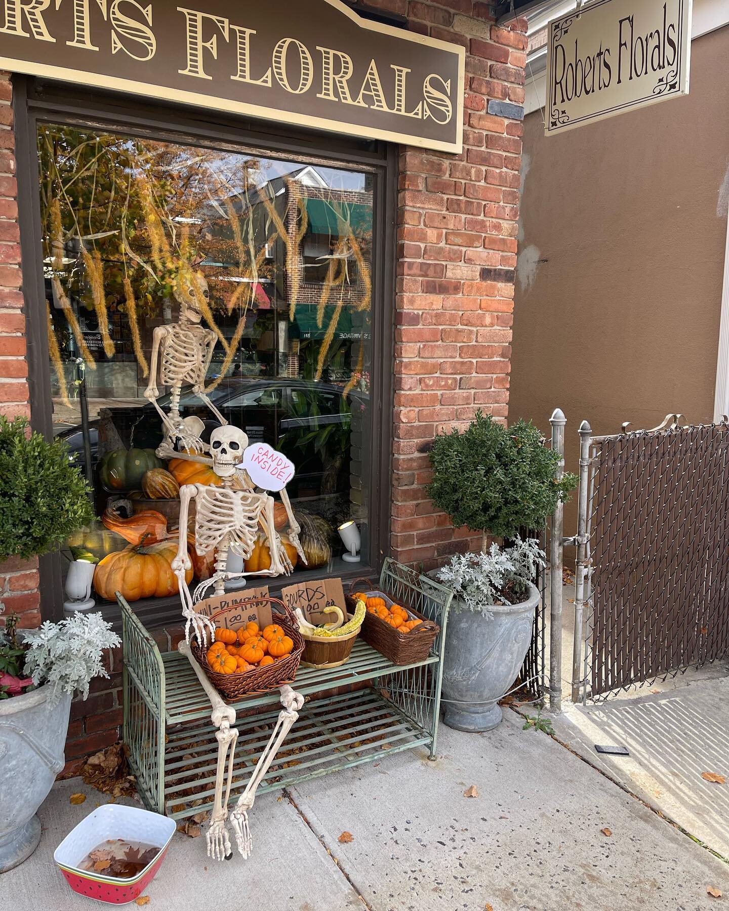 Happy Halloween 🎃Stop by for some treats! Open today until 4PM#Robertsfloralsnj #trickortreat #happyhalloween🎃 #skeletonpun#pumpkin
