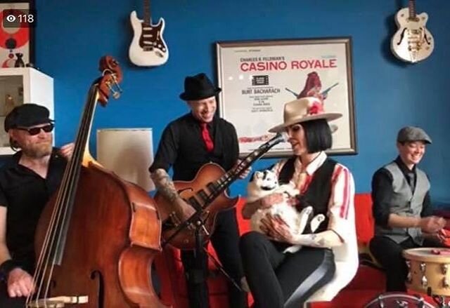 Best shot of our virtual concert on Sunday! Happy St Paddy&rsquo;s Day from the Crime Scene! ❤️🍀❤️ #kerrypastineandthecrimescene #houseconcert #musicforthemind #catlovers #bewell #gratitude