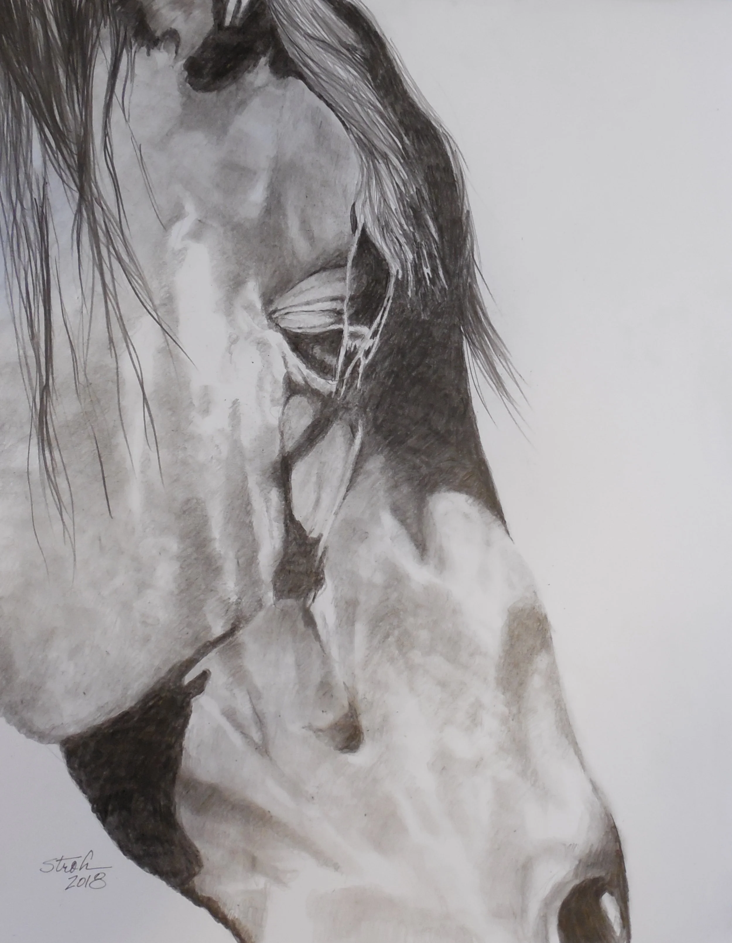 Done It All   12x14  $412