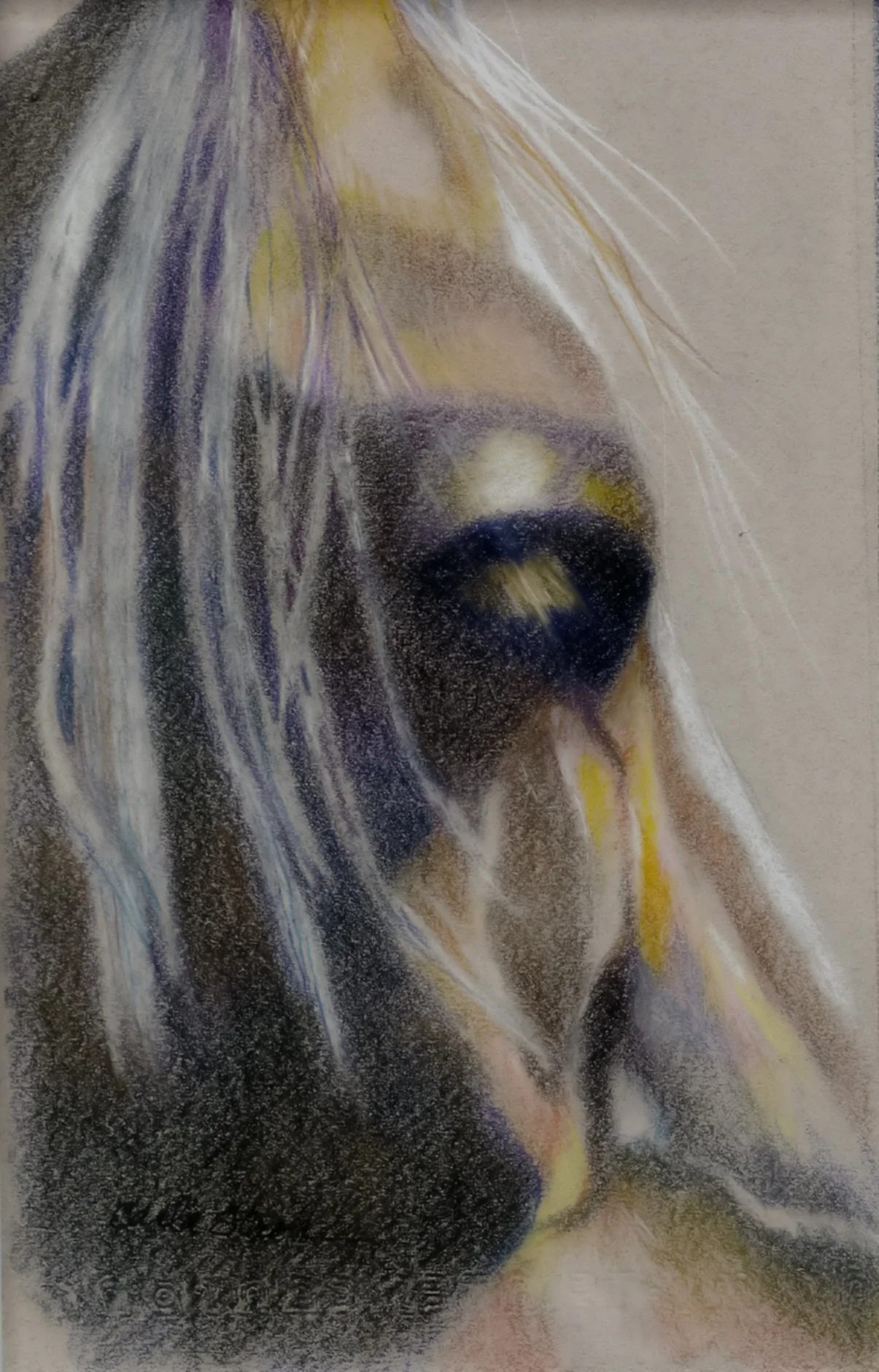 Rabbit   7x9    $200