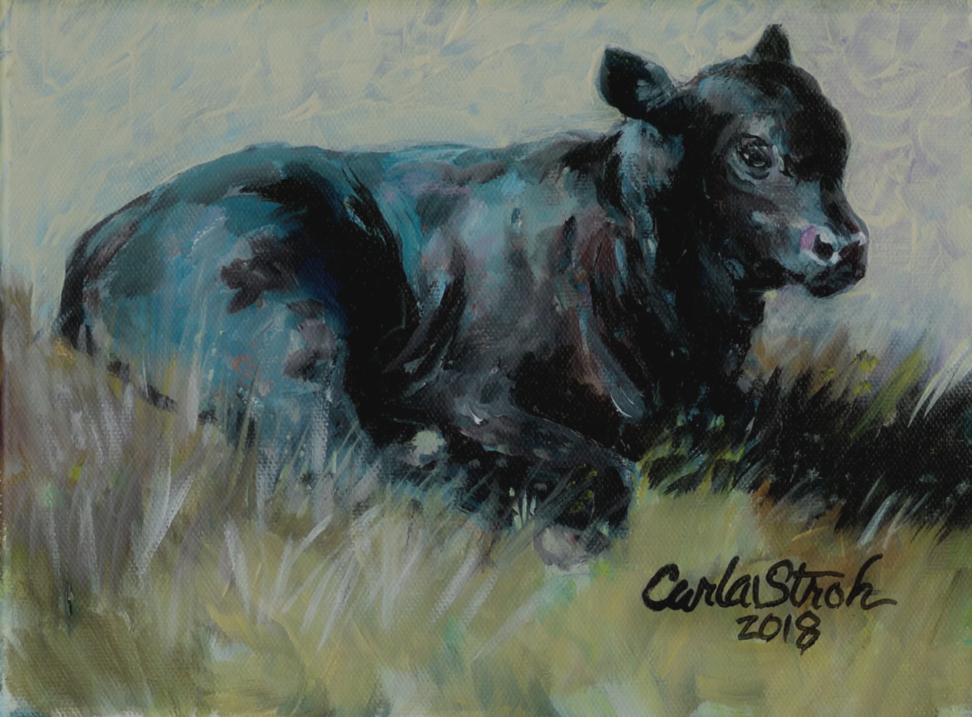 Calf in the Grass   8x10  