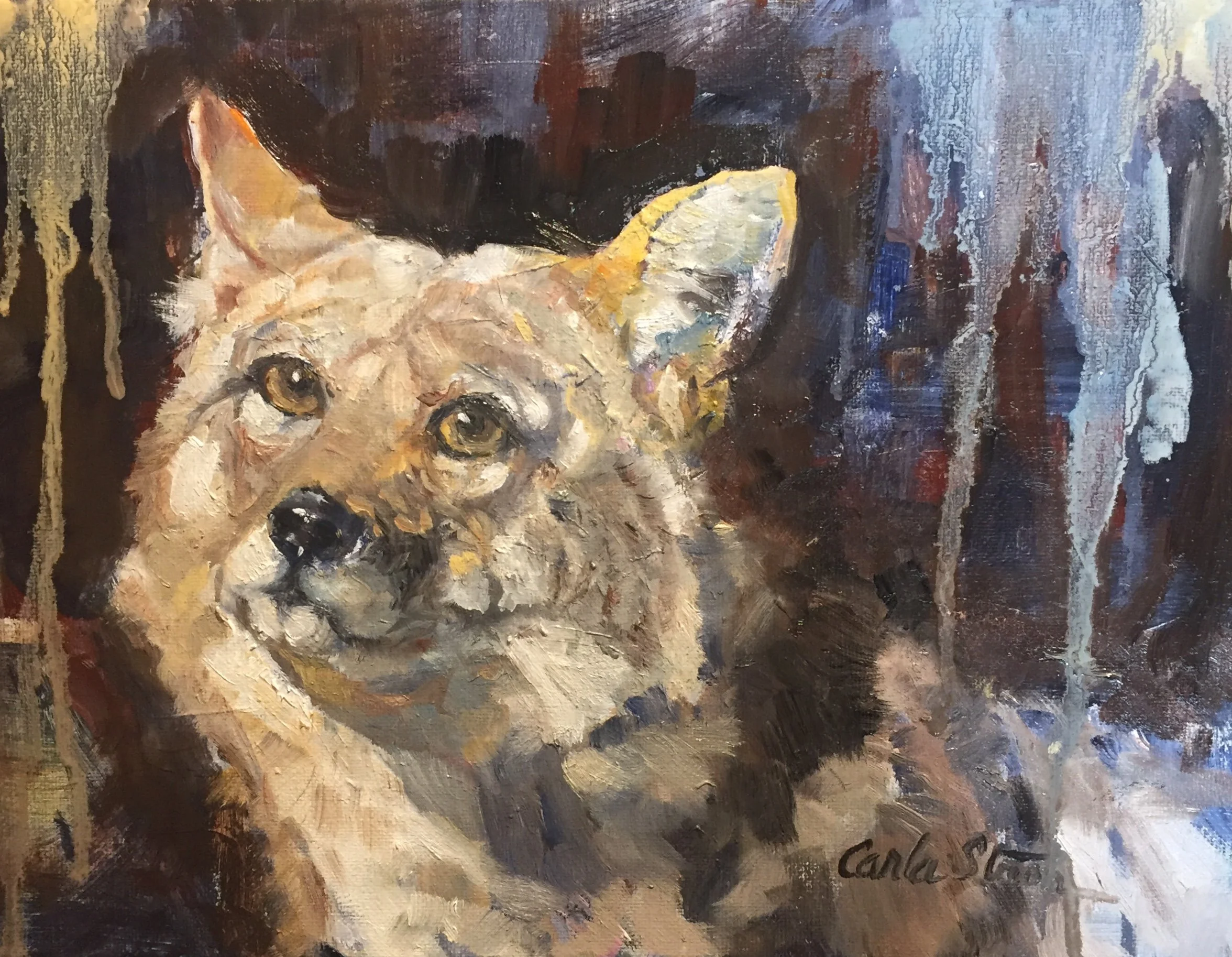 what are you thinking.jpeg