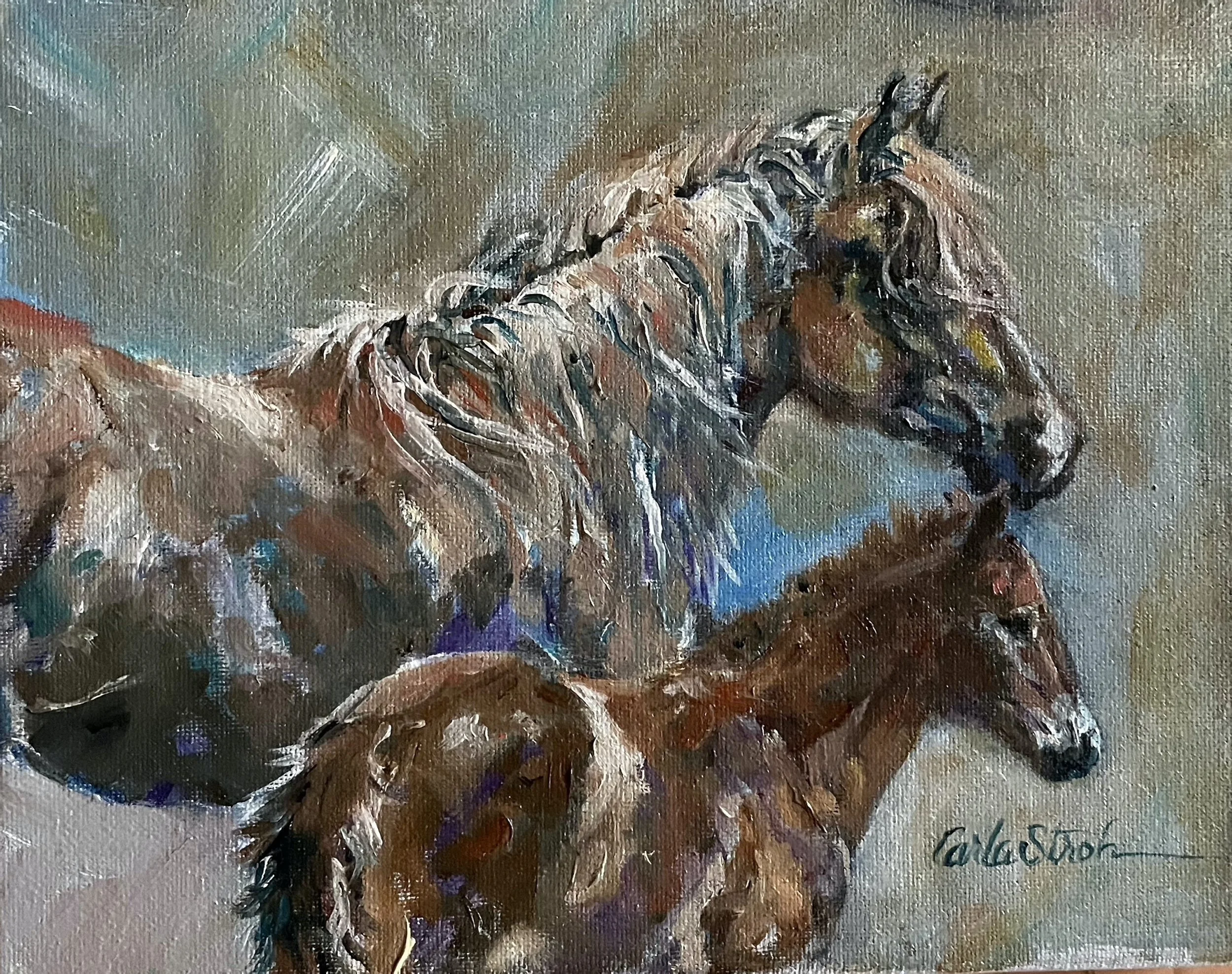 Foundation Mare  sold