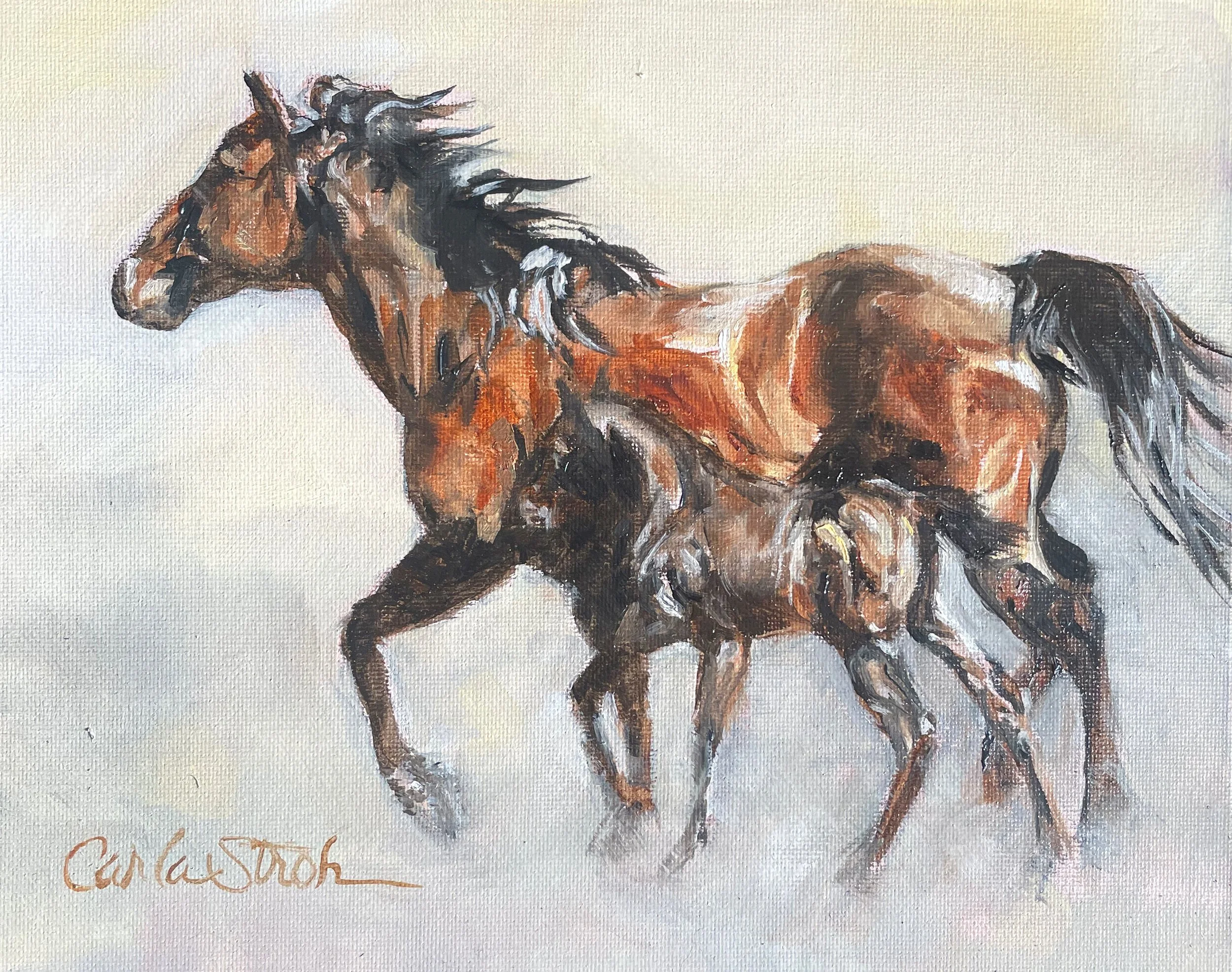 The Gallop 8x10 $300