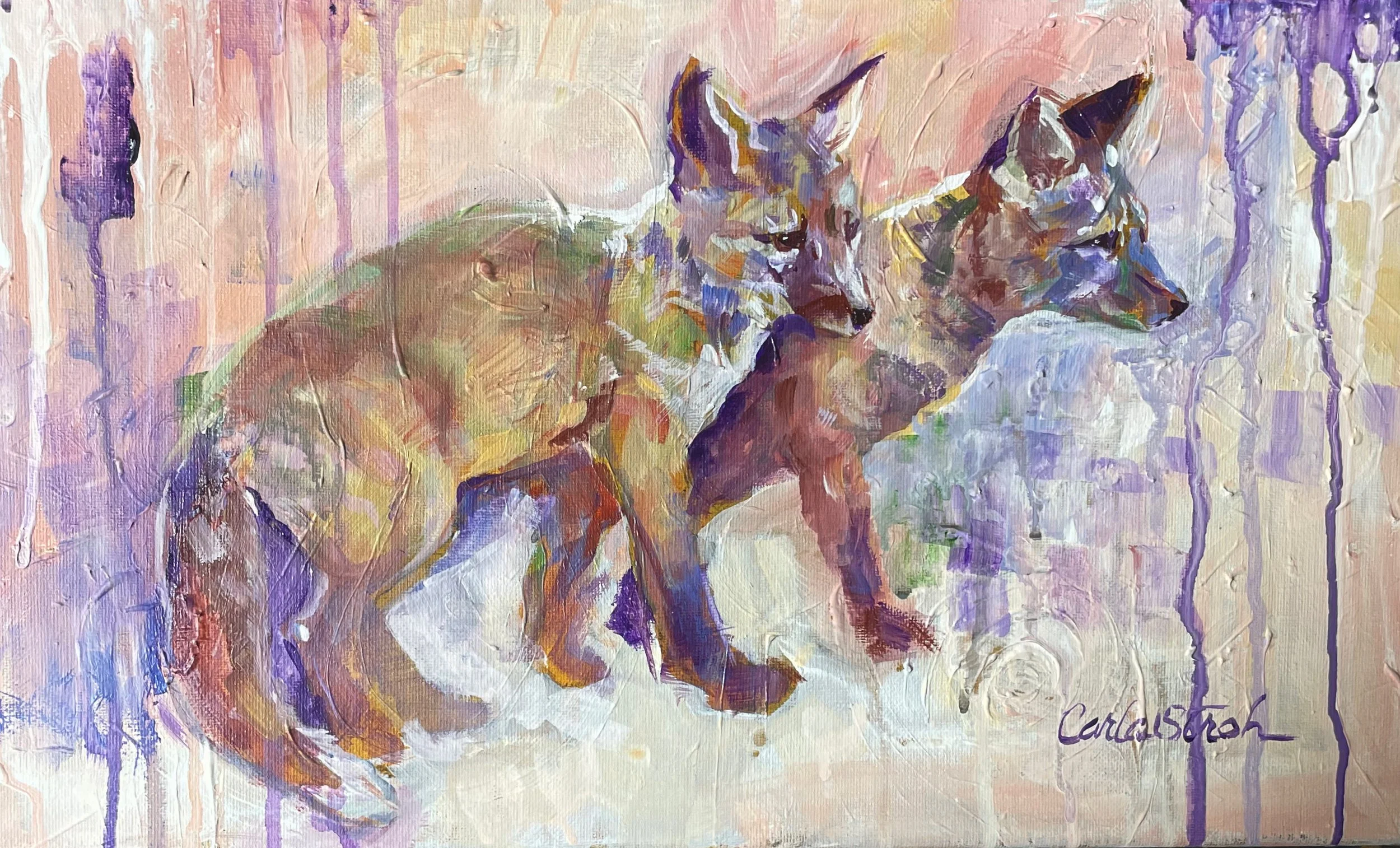 Two Kits  oil 10x20 $500