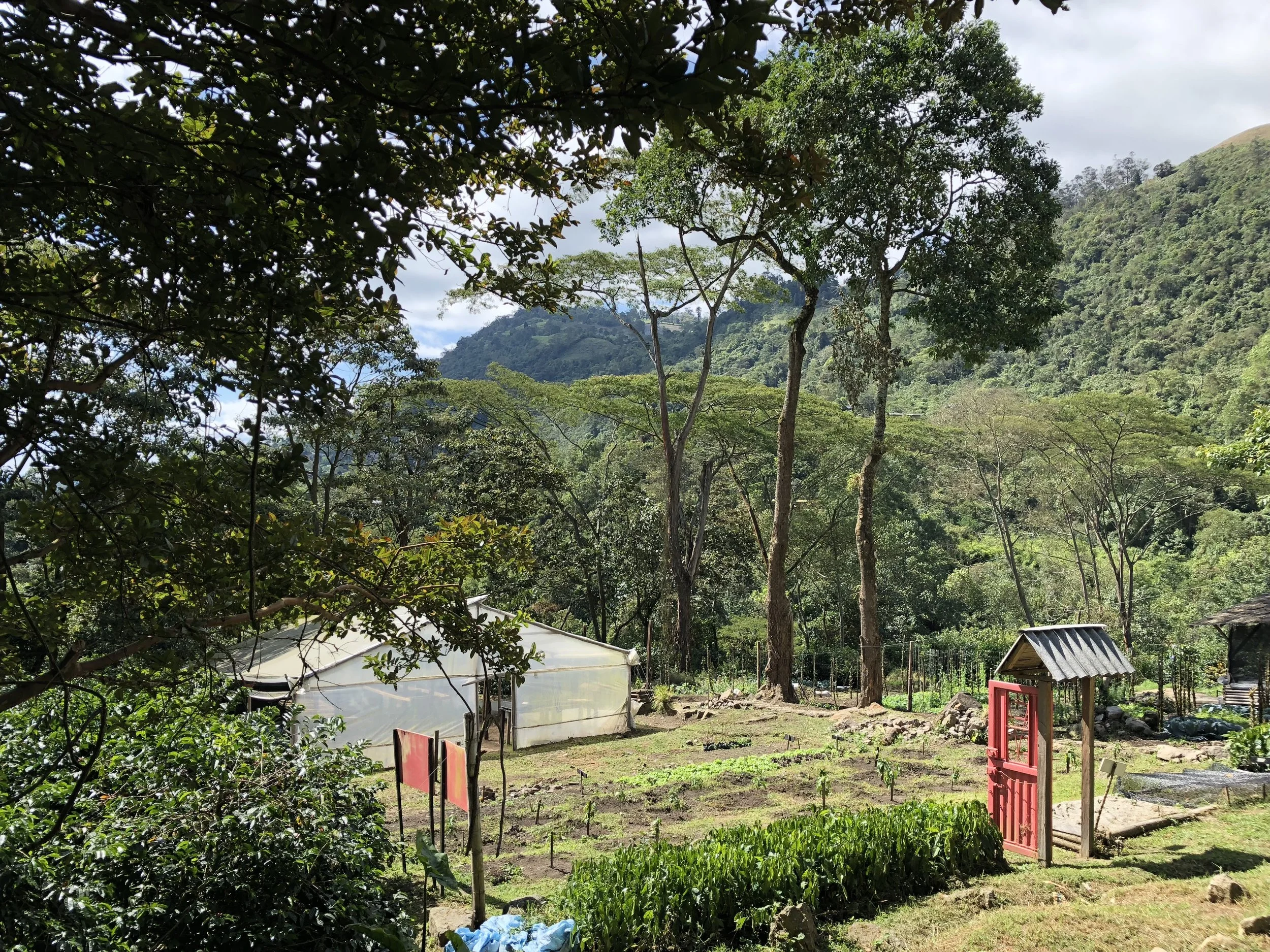 Changing a century-old culture one cup of coffee at a time