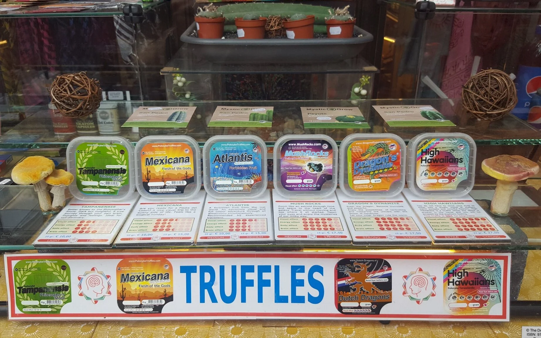 Oppaiden kilta rakentaa eettistä koodistoa Hollannin psykedeeliretriiteille