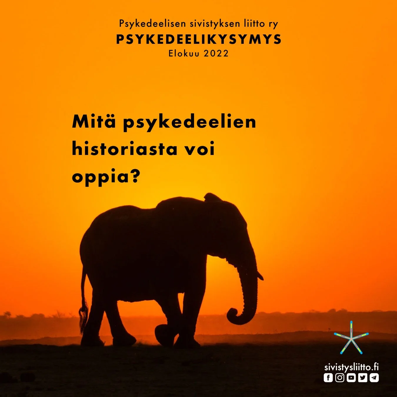 Elokuun Psykedeelikysymys: Mitä psykedeelien historiasta voi oppia?