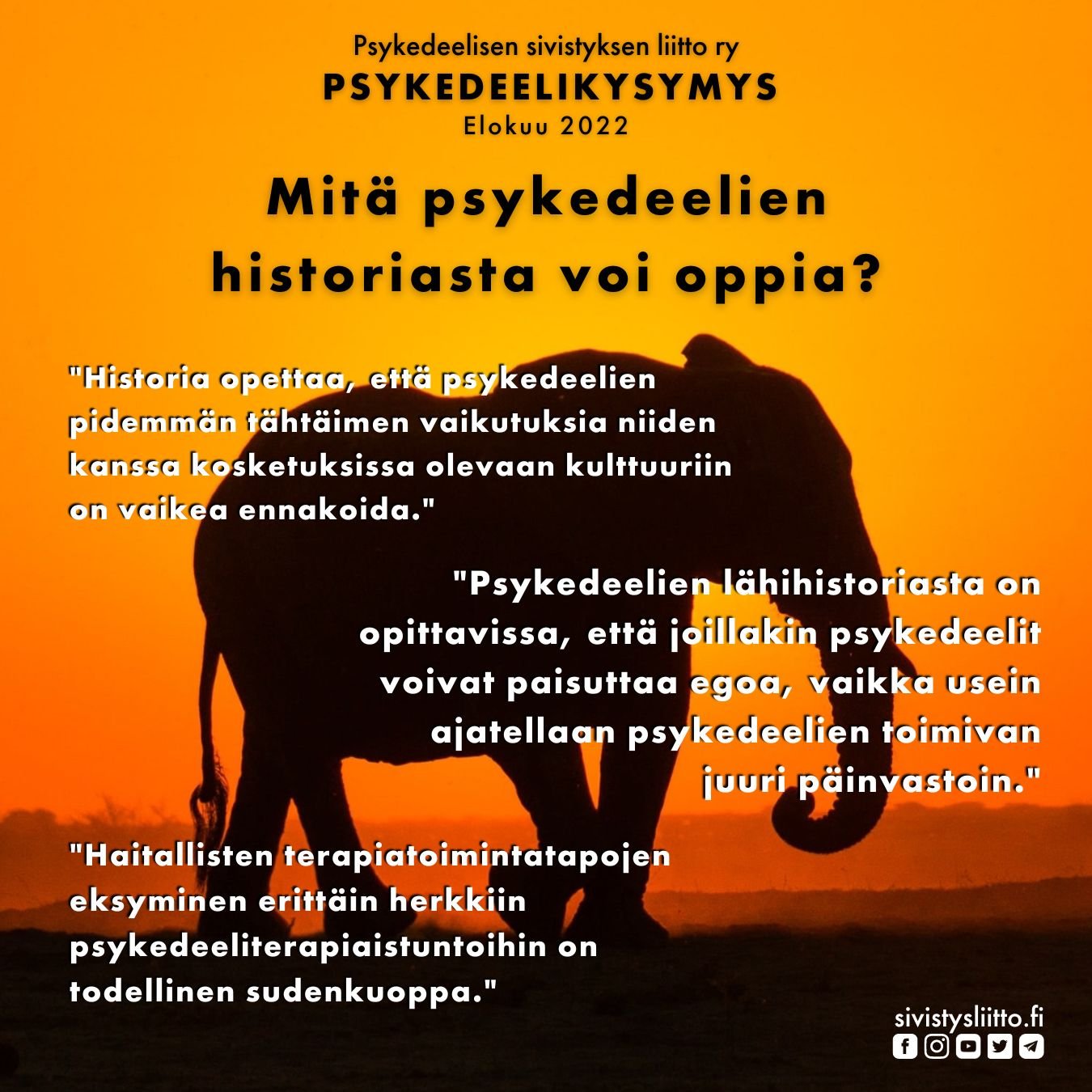 Mitä psykedeelien historiasta voi oppia? Vastauksia elokuun Psykedeelikysymykseen