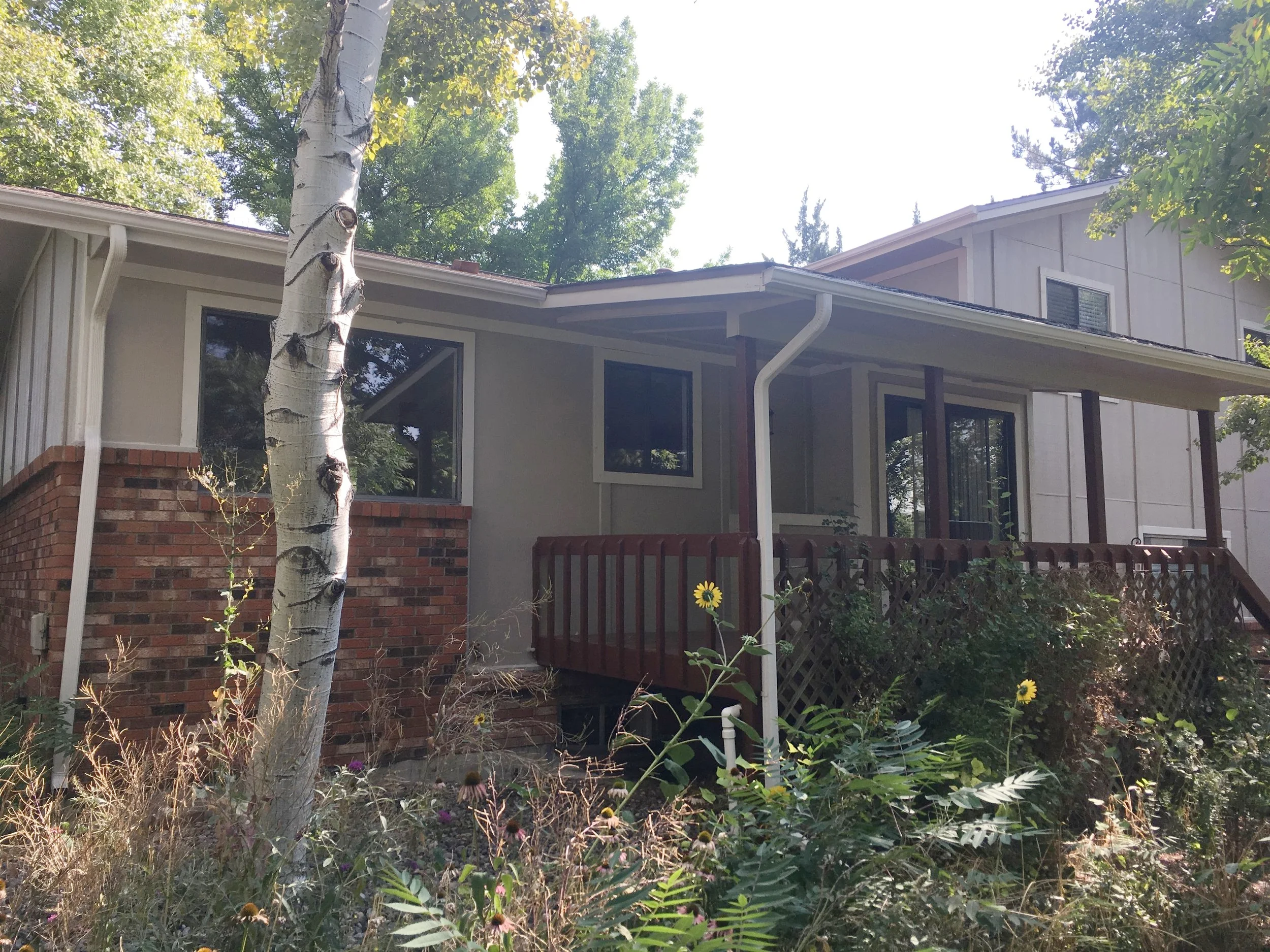 Exterior 3.jpg