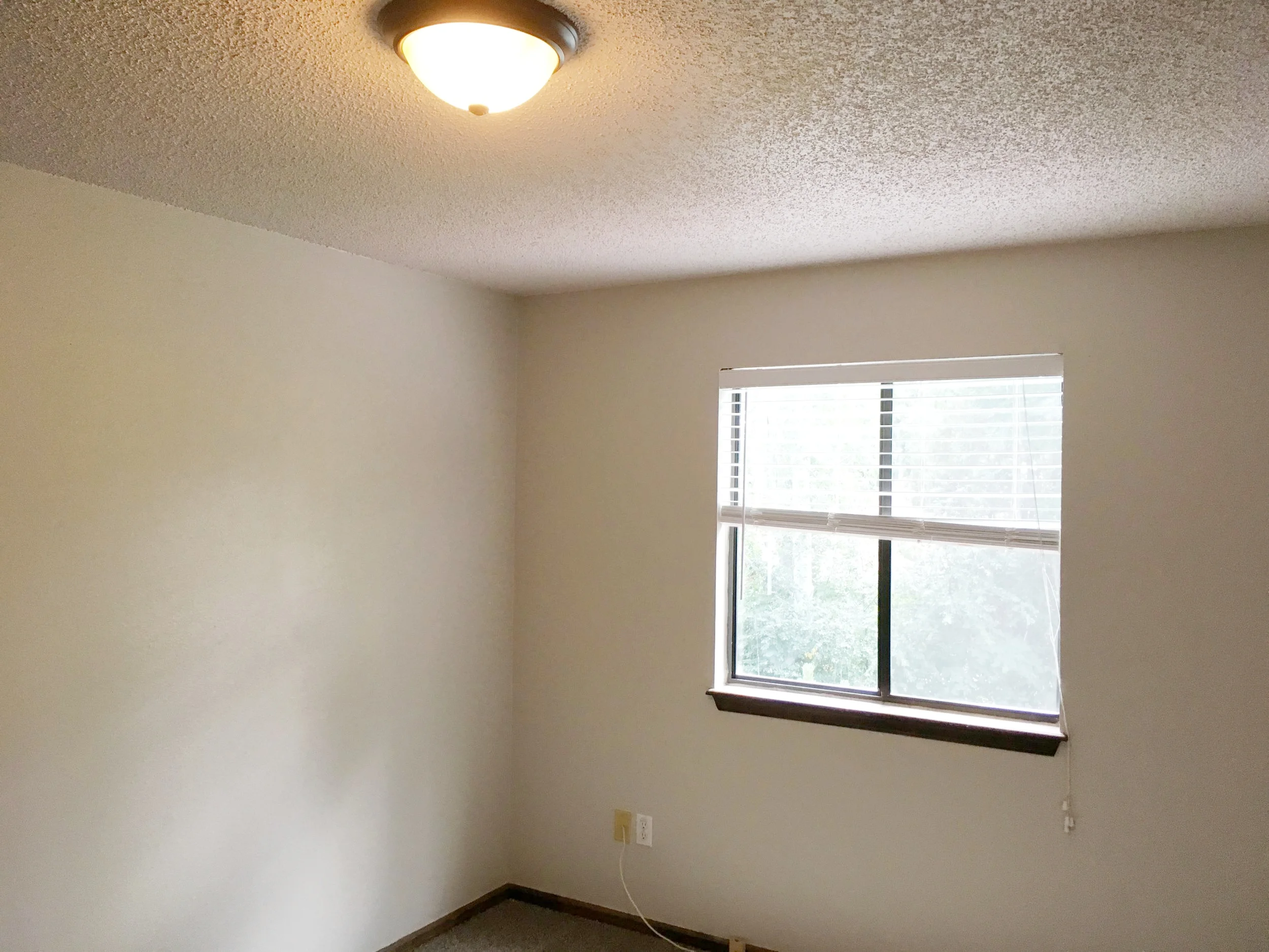 Interior 3.jpg