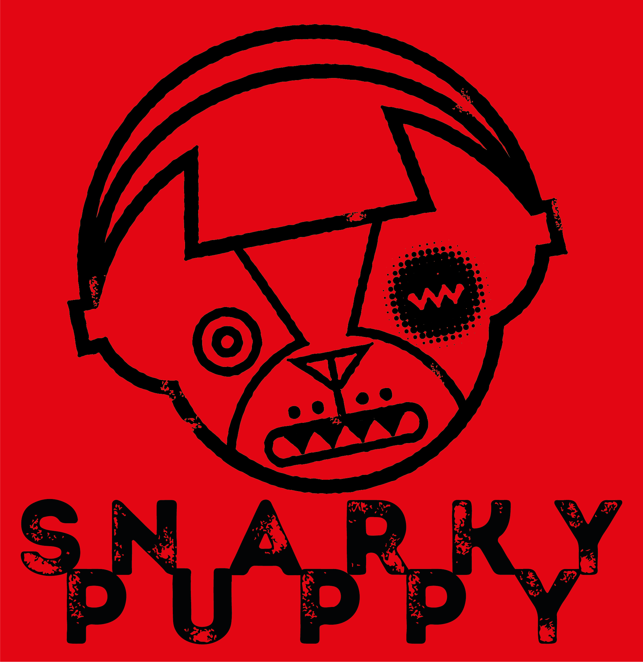 Proposal for Snarky Puppy