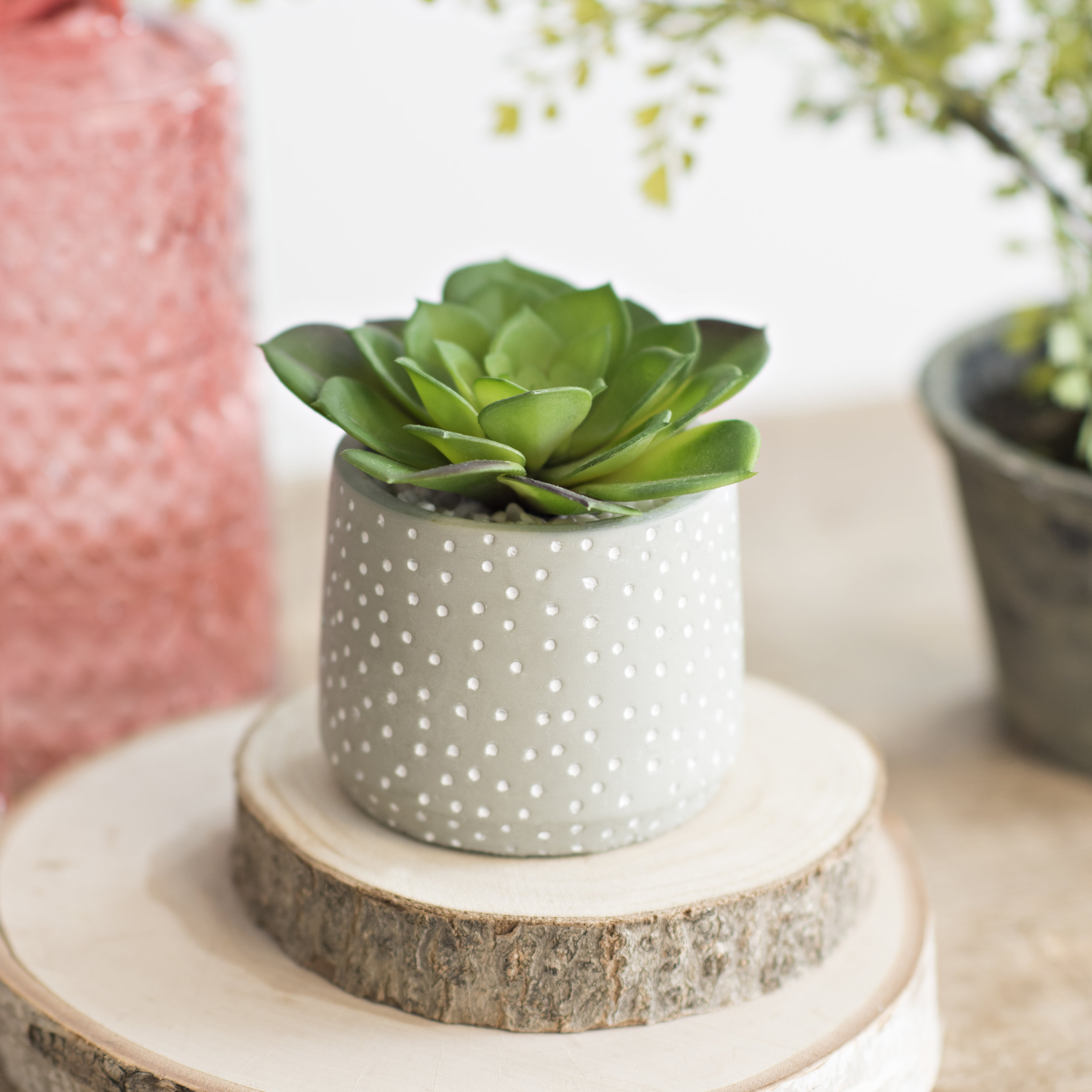 “I can’t get enough of these! The ceramic pots are so cute, and the succulents look soooooooo real! The best part, I don’t have to worry about watering them!”
