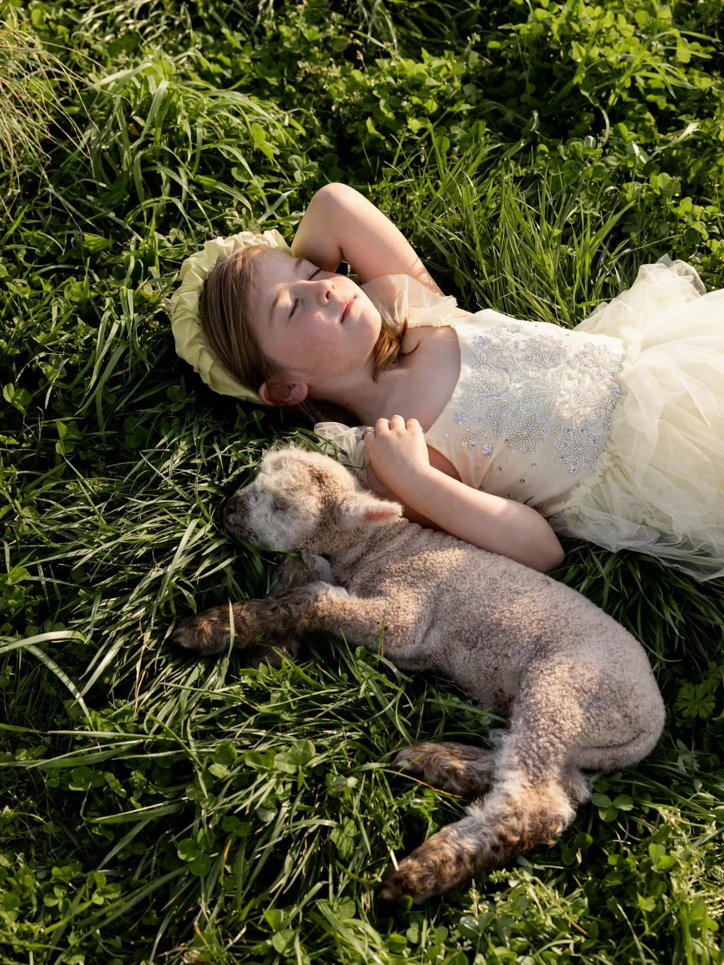 Happy Easter 🐣 🐇