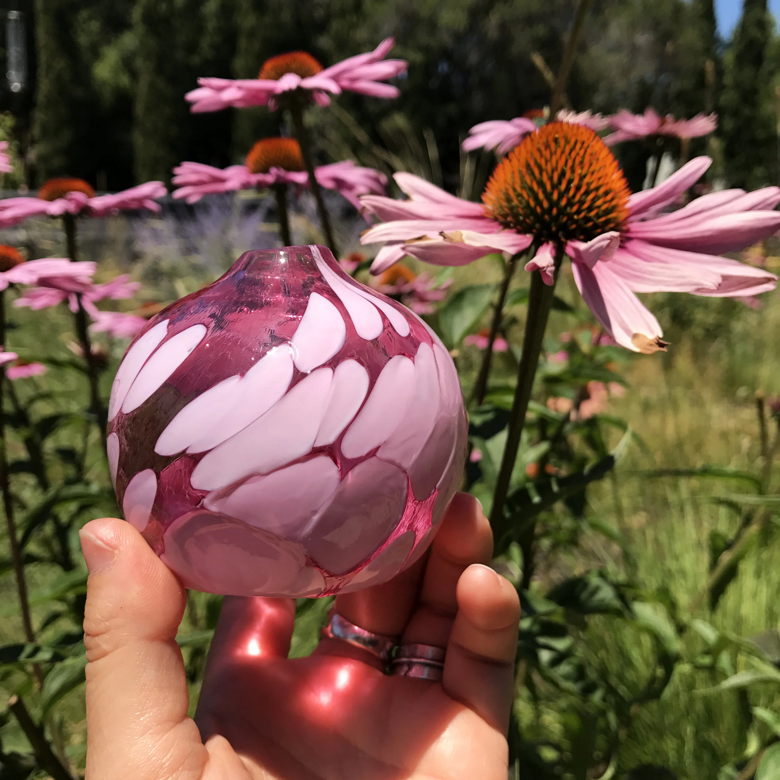 Palette Matching in Garden