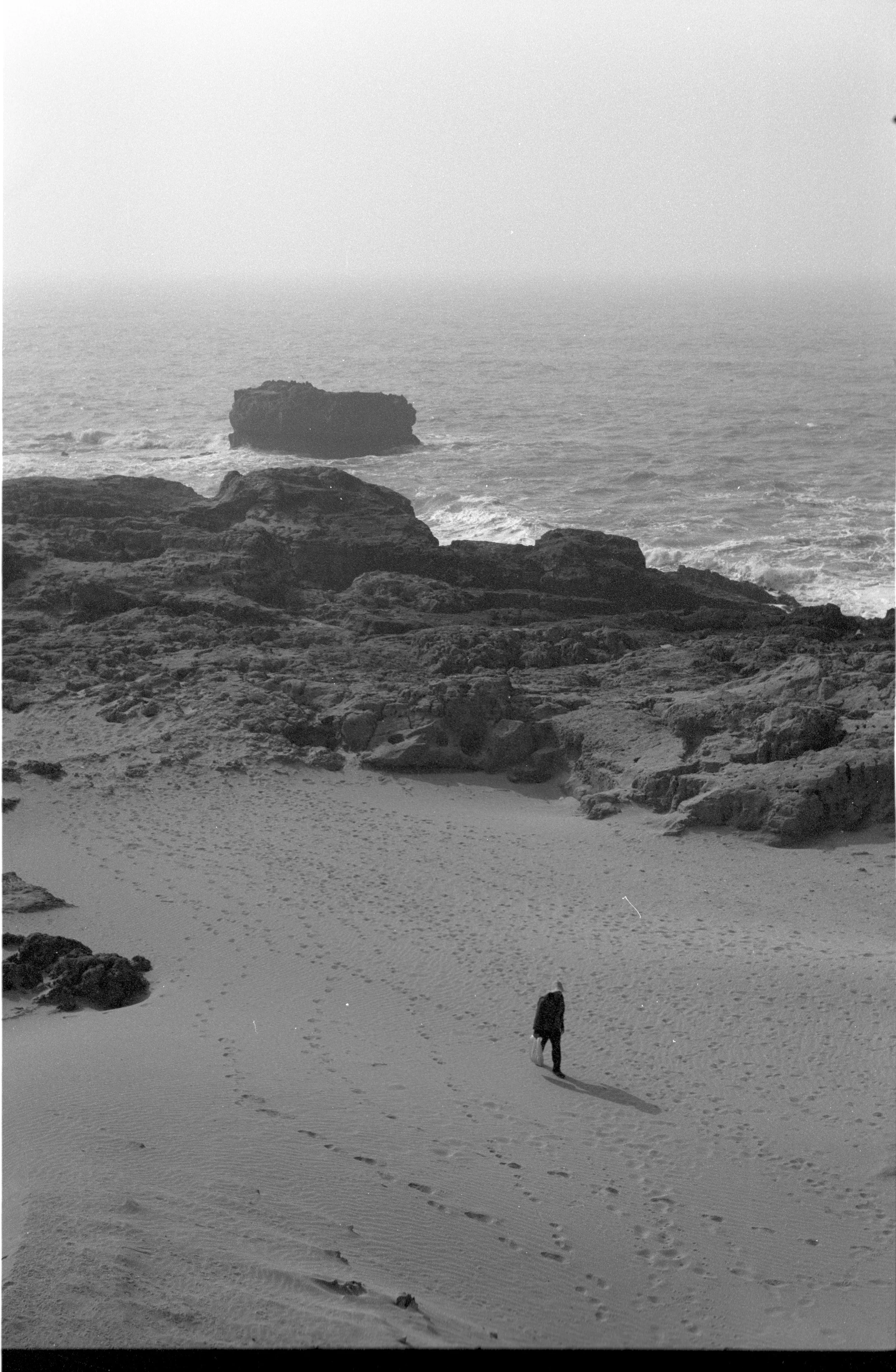 2023-04-05-0123 (1).jpeg