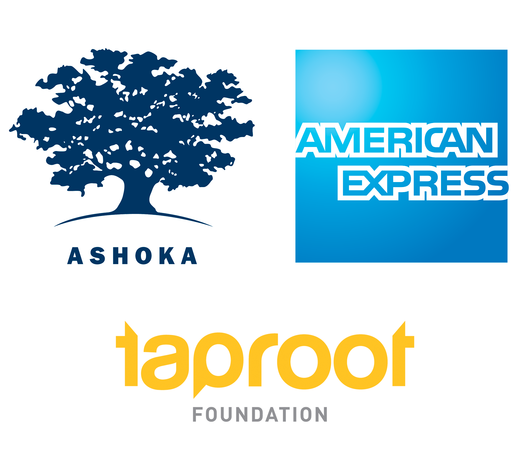 Ashoka + American Express + Taproot: International Business Professional Volunteer Opportunity Study