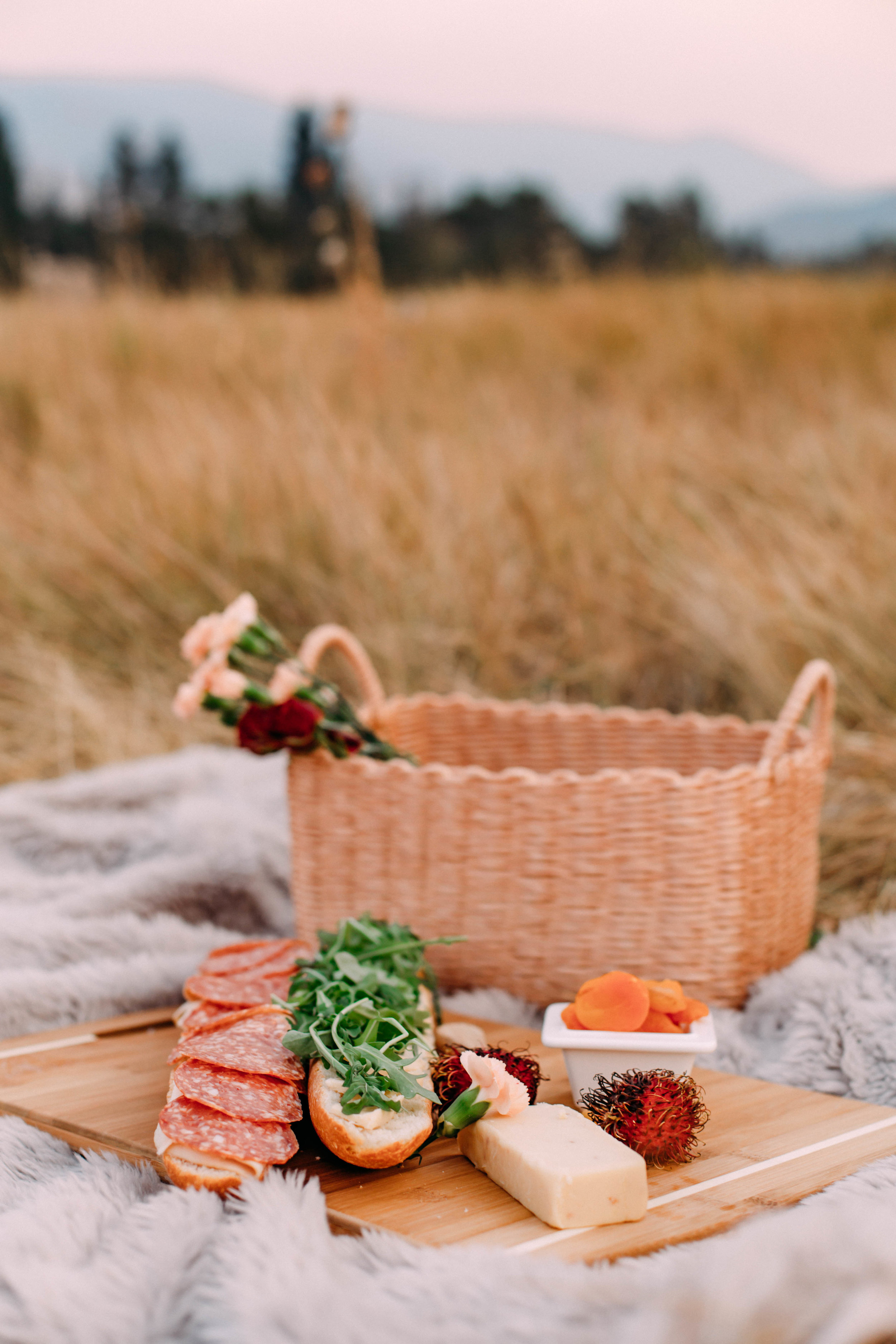 Picnic with the Husband | Style with Ash