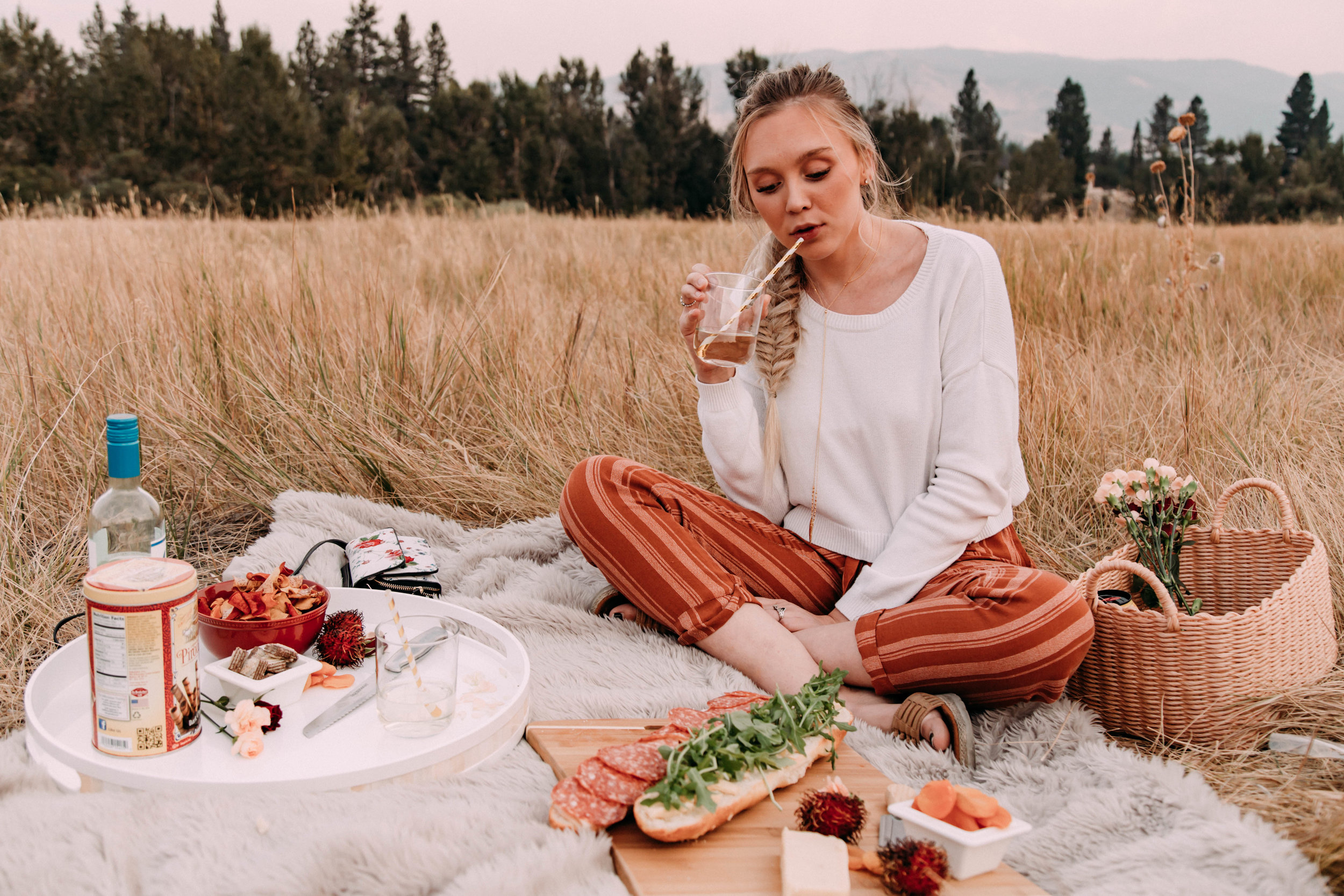 Picnic with the Husband | Style with Ash