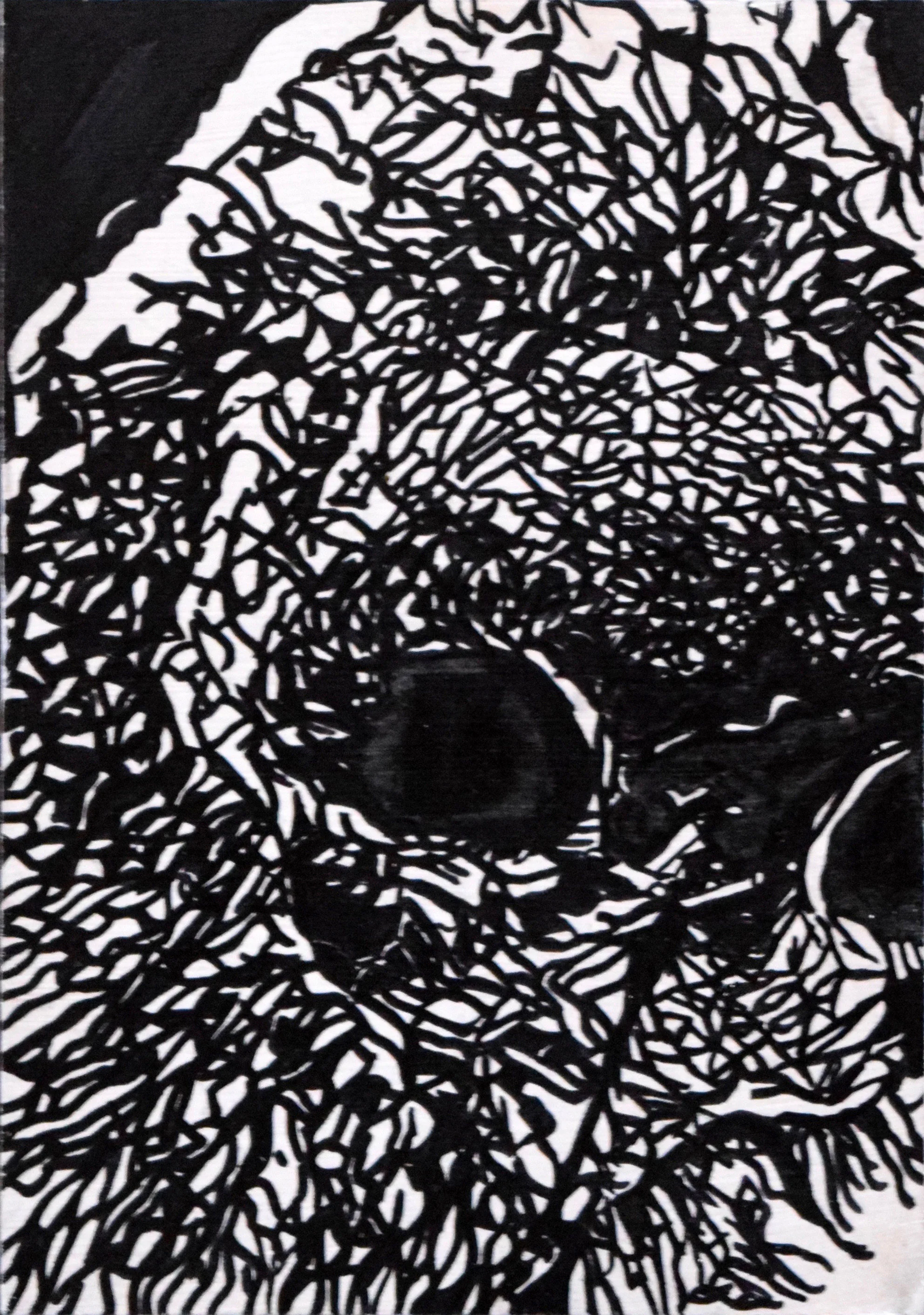 Blind Vision