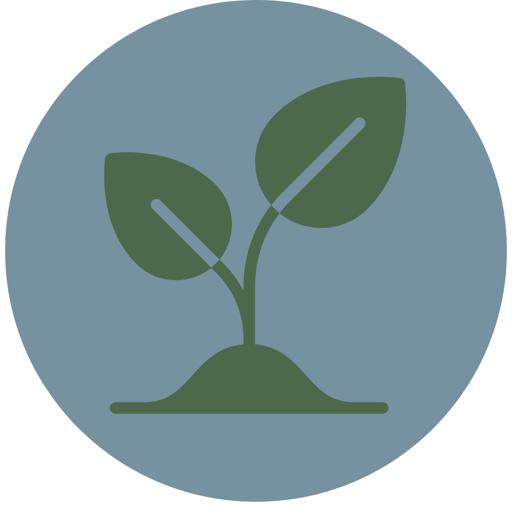 Nature-Based Art Therapy Group