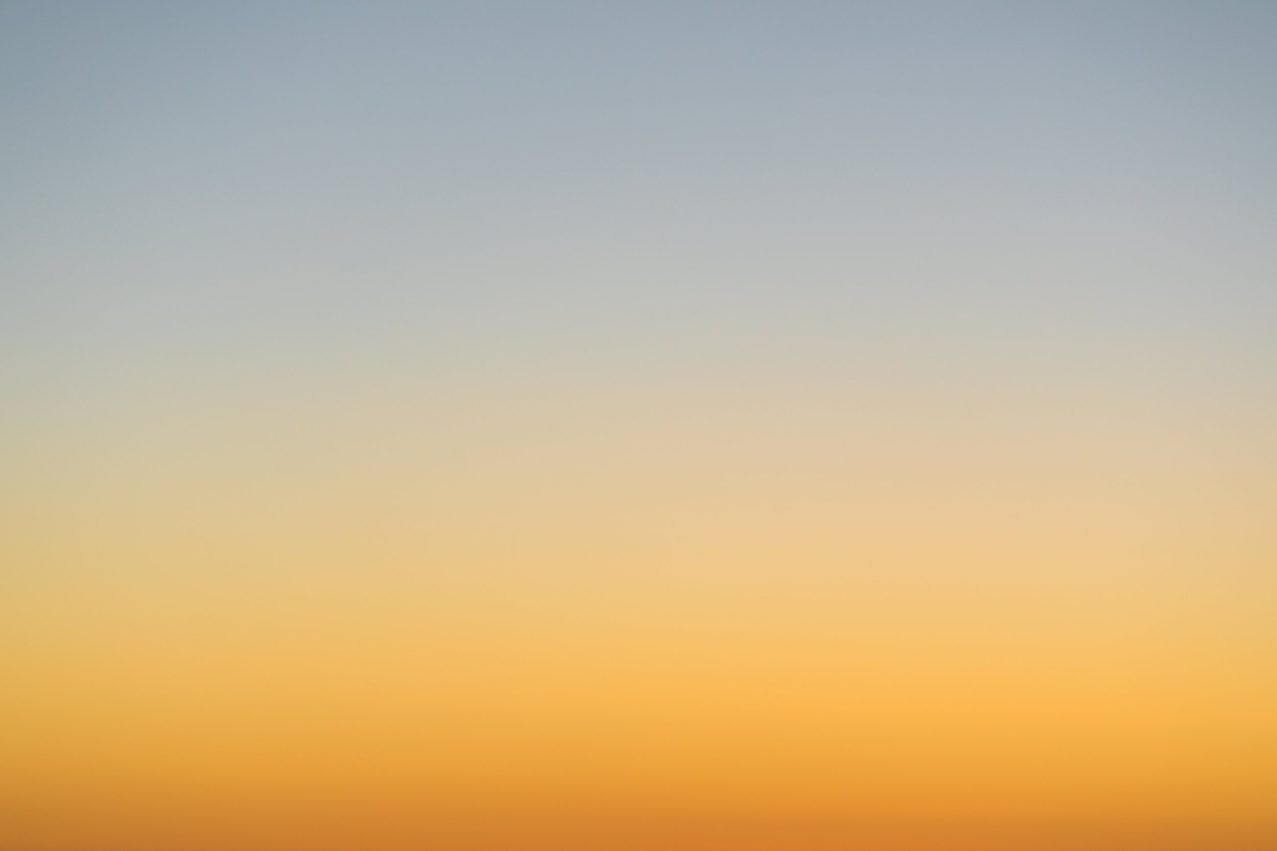 cesar-couto-420976-unsplash.jpg