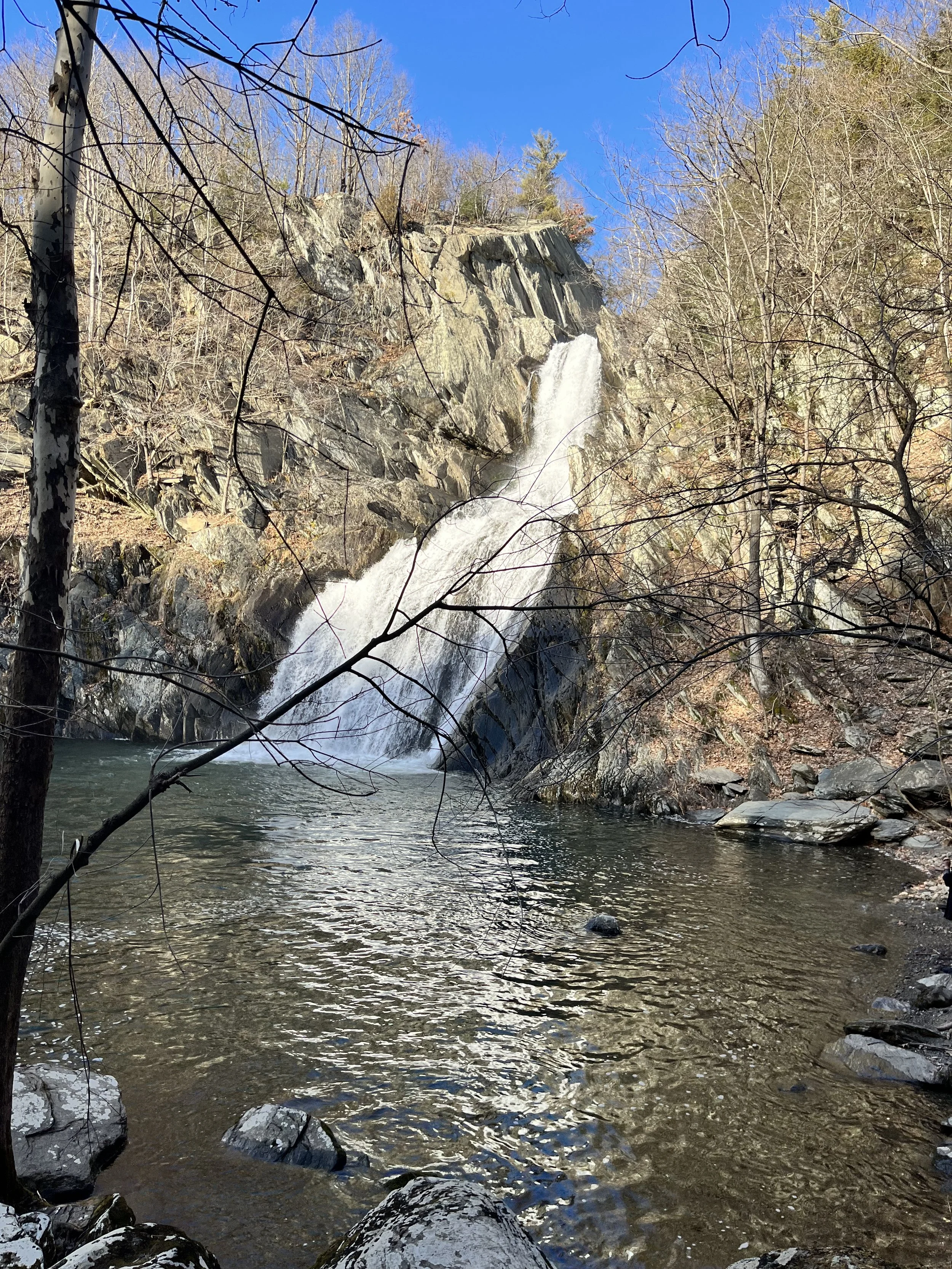 EFT and Somatics for global challenges - Download