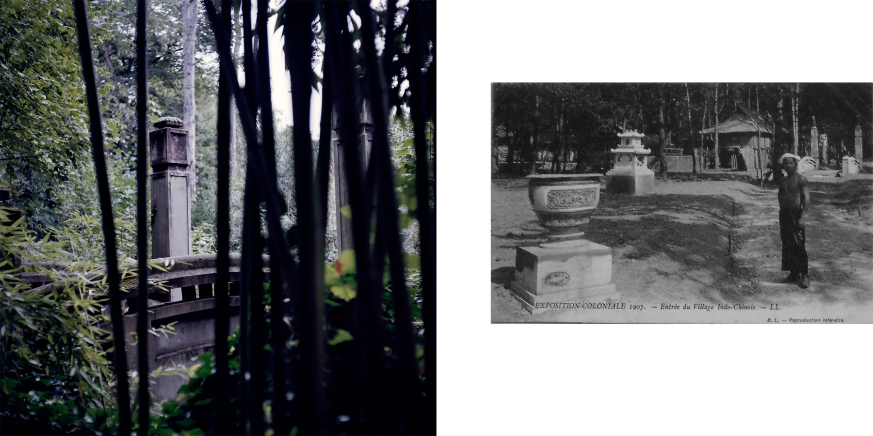 Cate Dingley — The Human Zoo