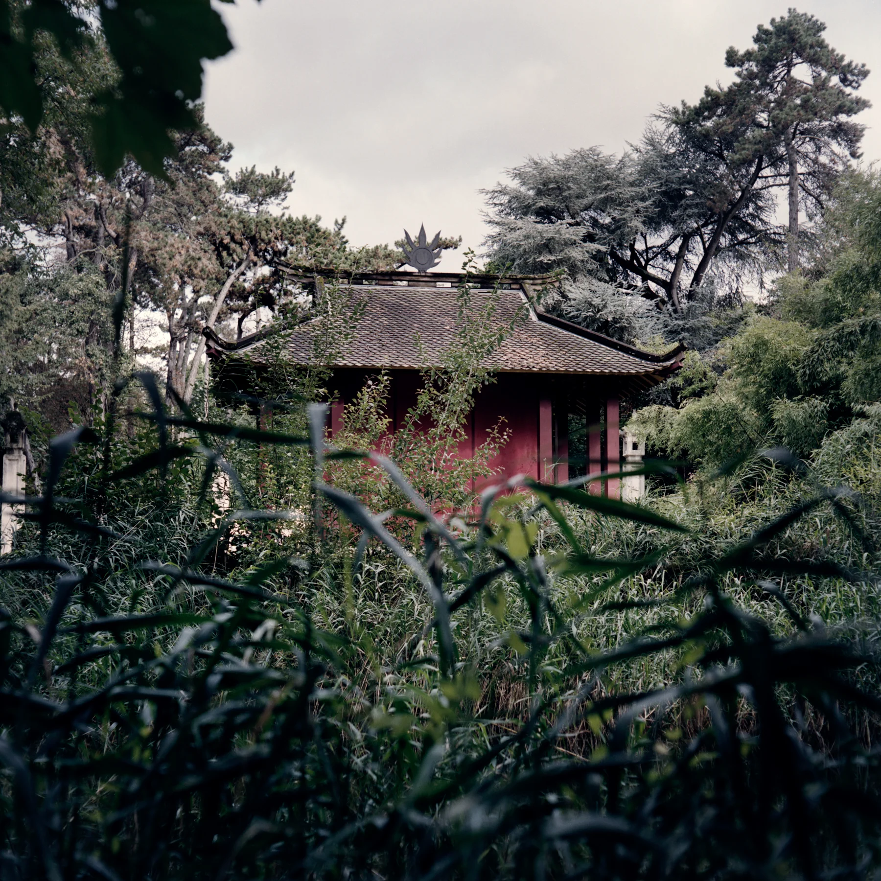 Cate Dingley — The Human Zoo