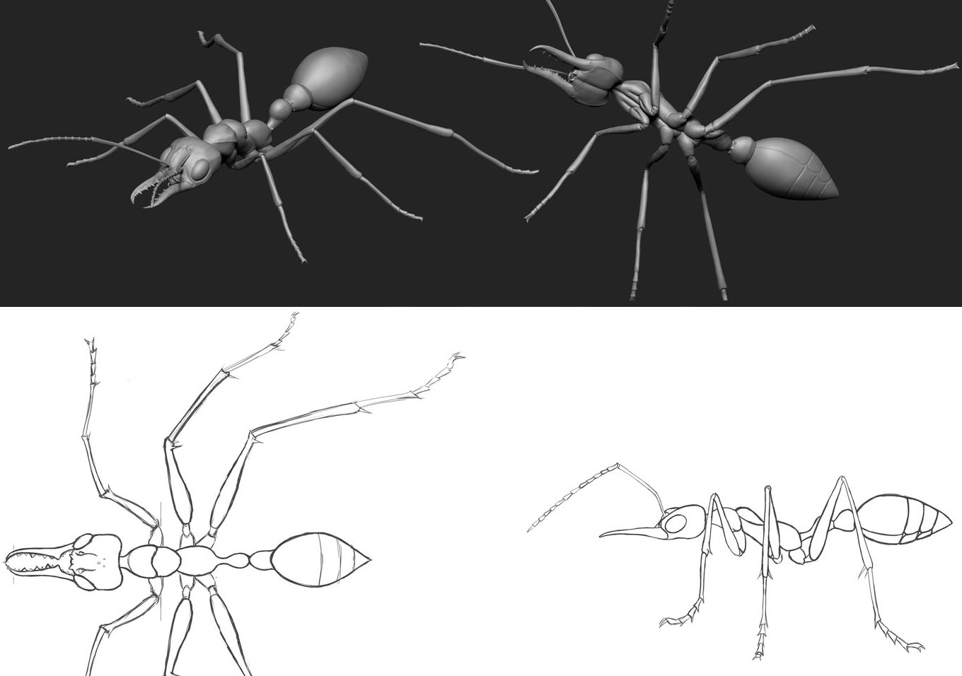 Character+Design+-+Bulldog+Ant+01 copy.jpg