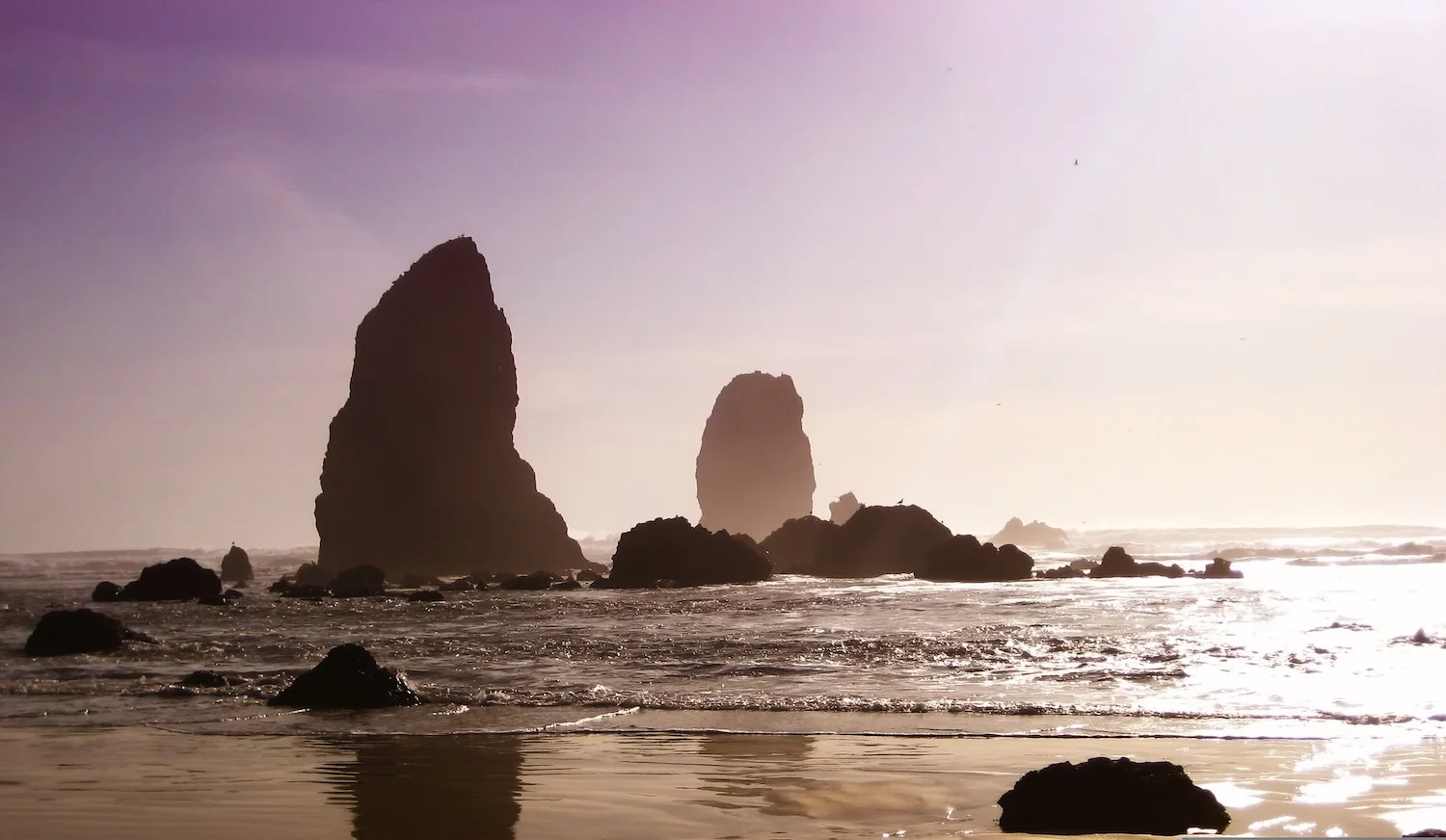 Oregon coast.jpg